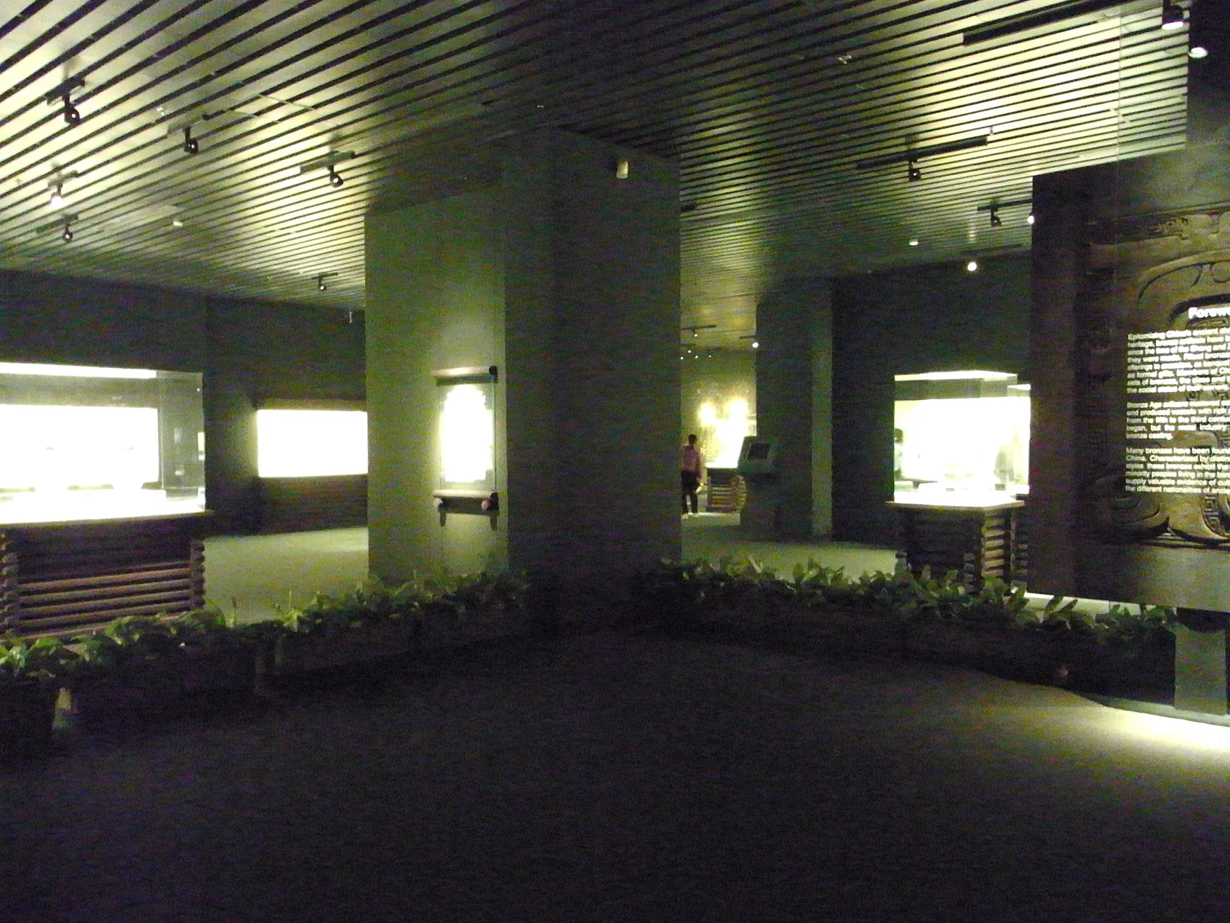 展示エリア