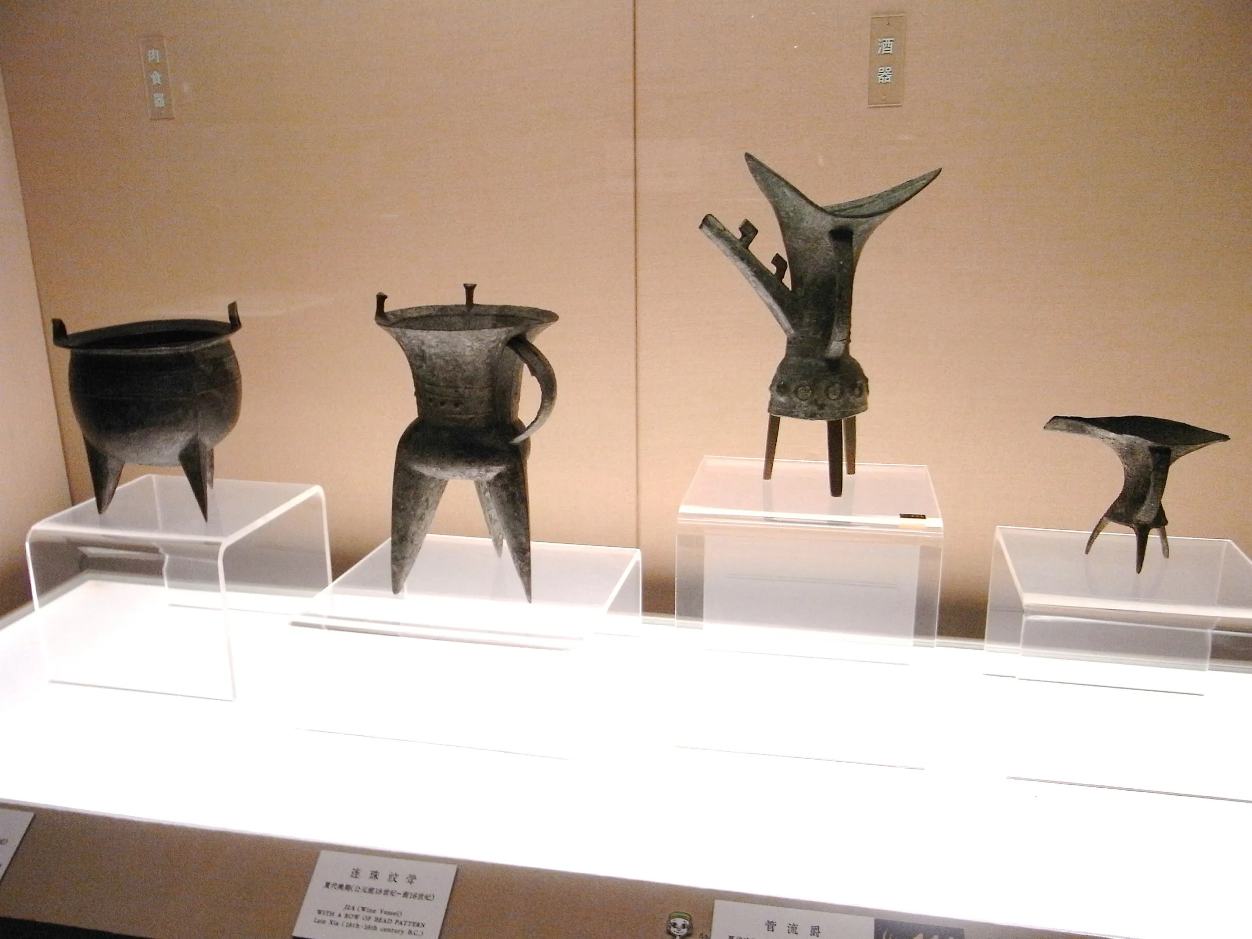 束腰爵 展示