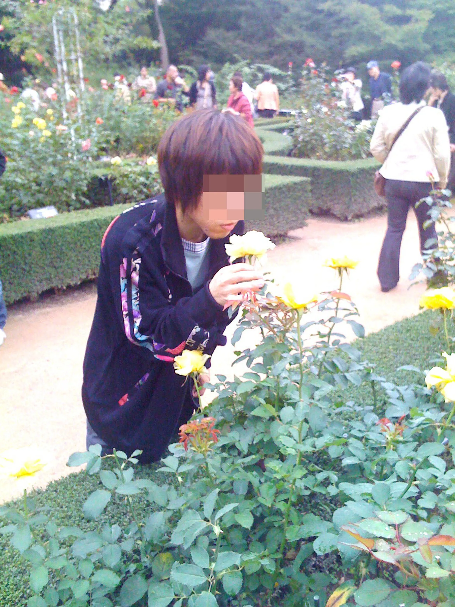旧古河庭園の薔薇を嗅ぐうぷ主