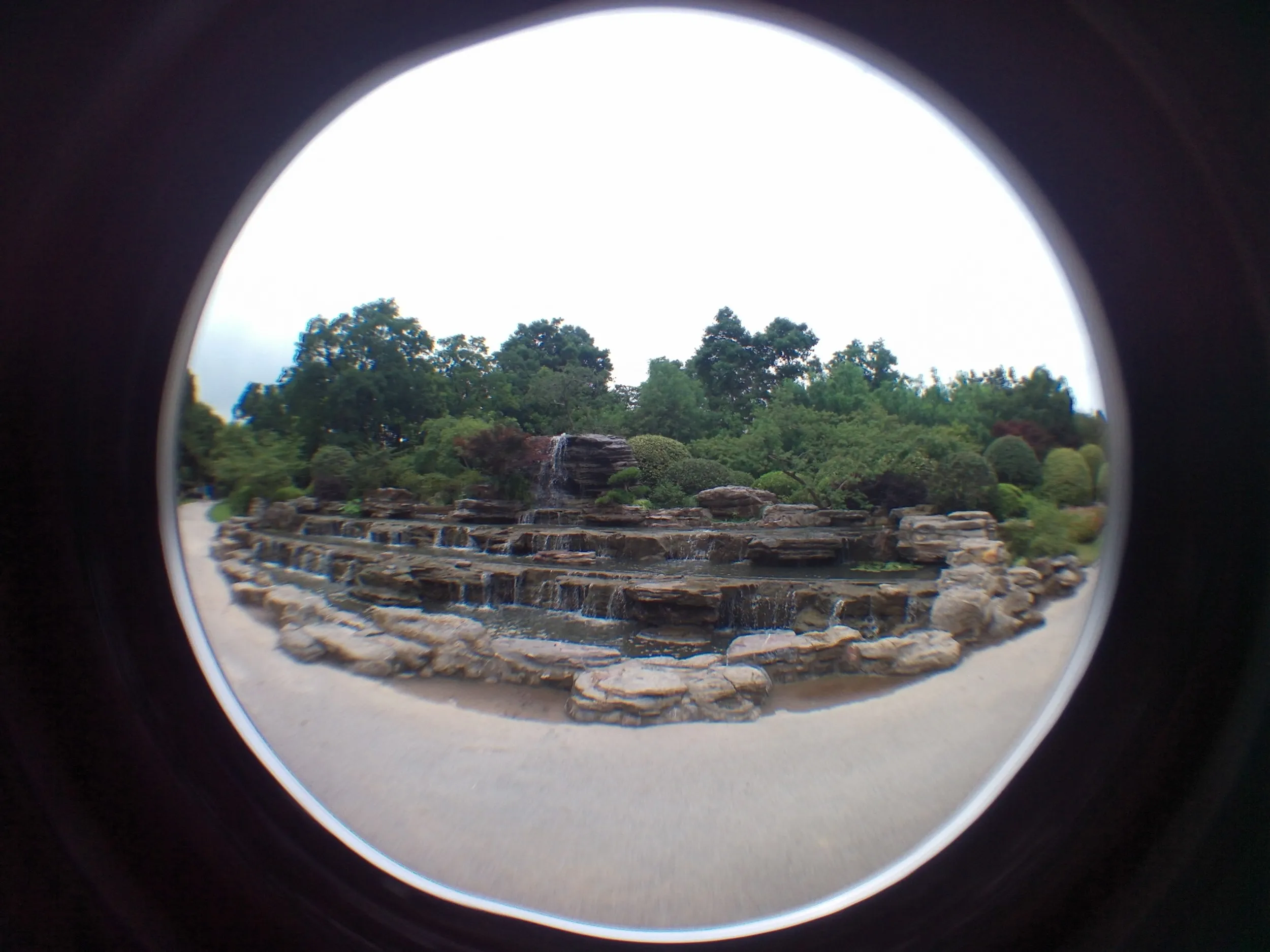 上海植物園観光