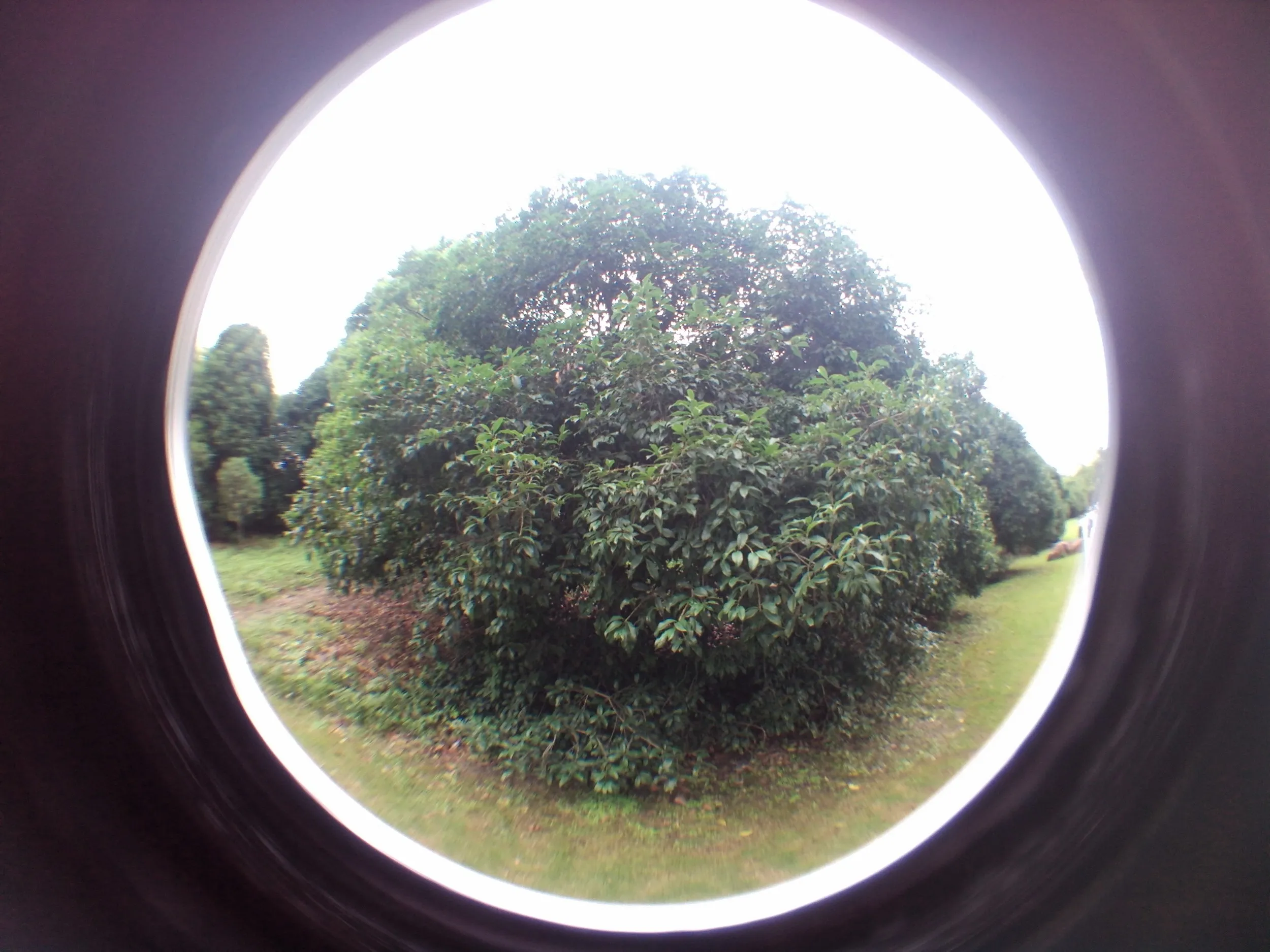 上海植物園観光