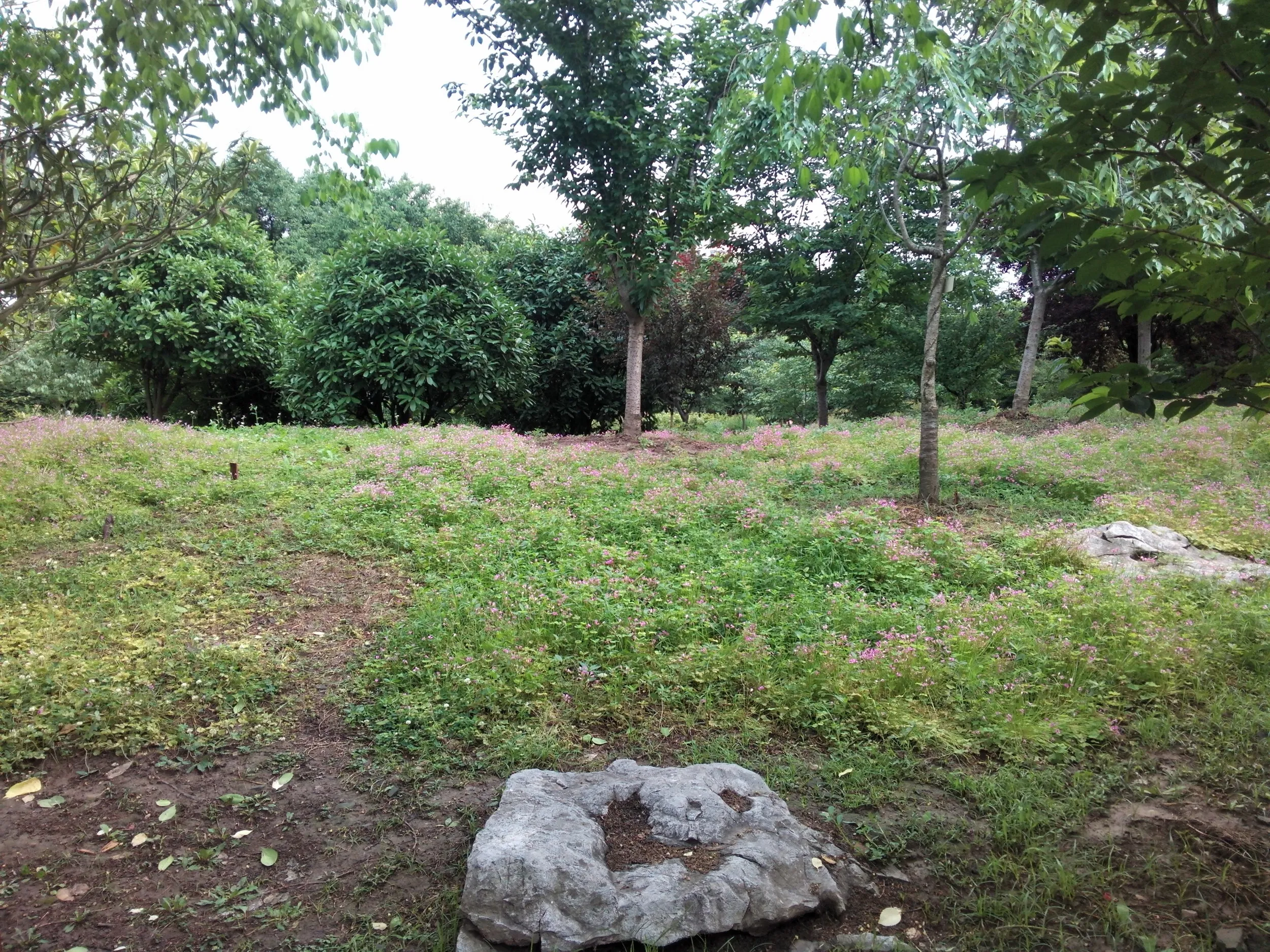 上海植物園観光