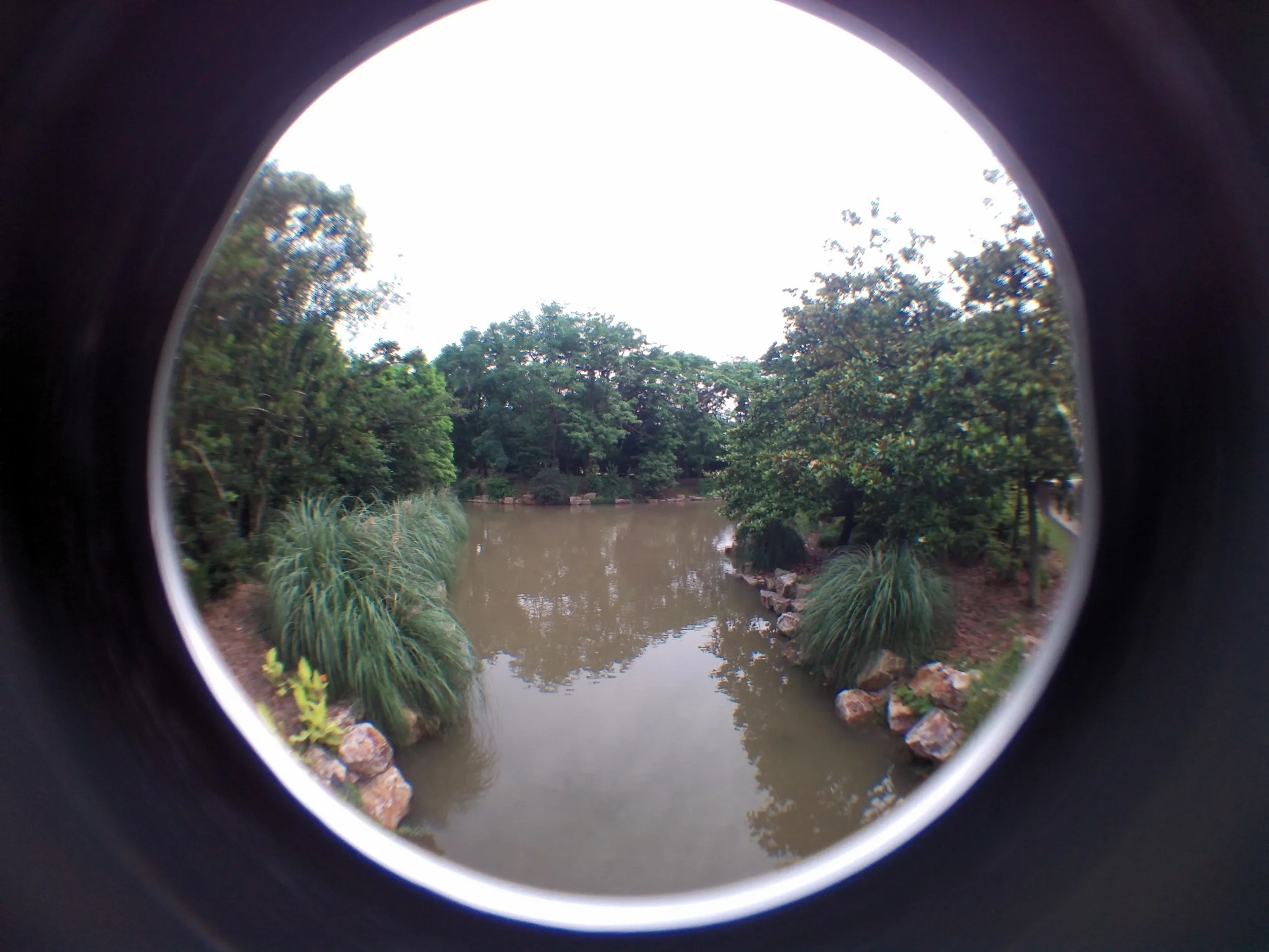 上海植物園観光