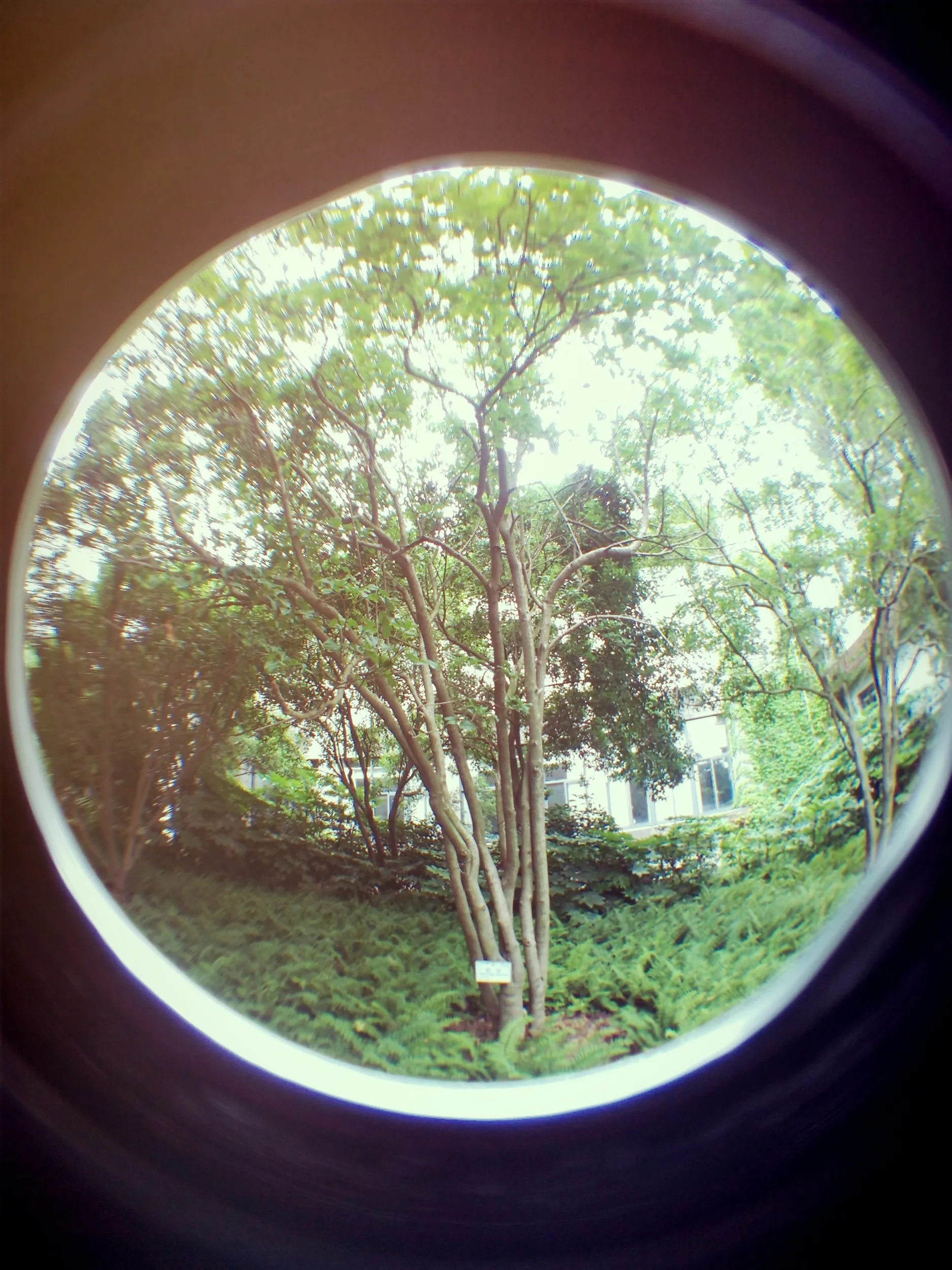 上海植物園観光