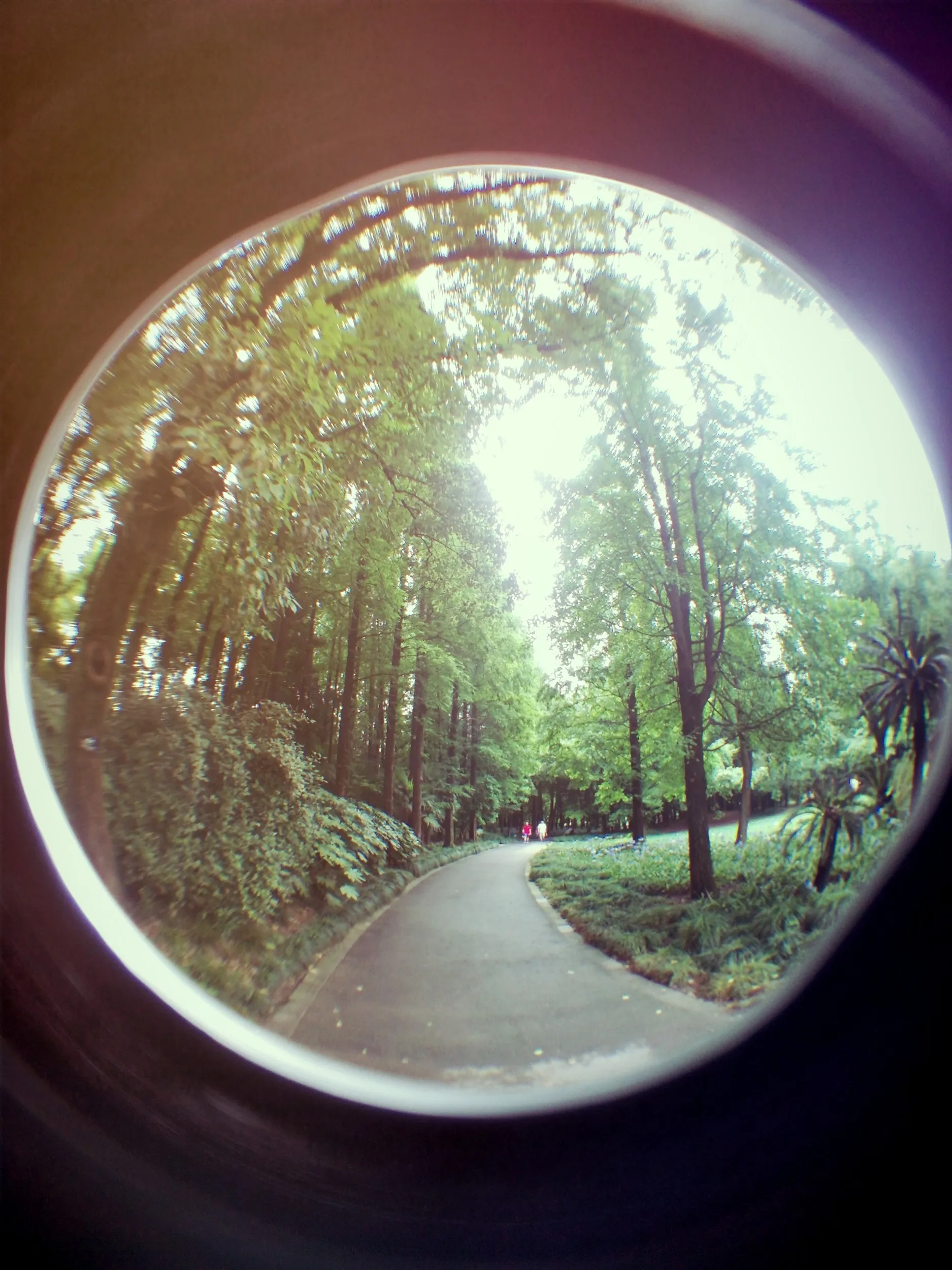 上海植物園観光