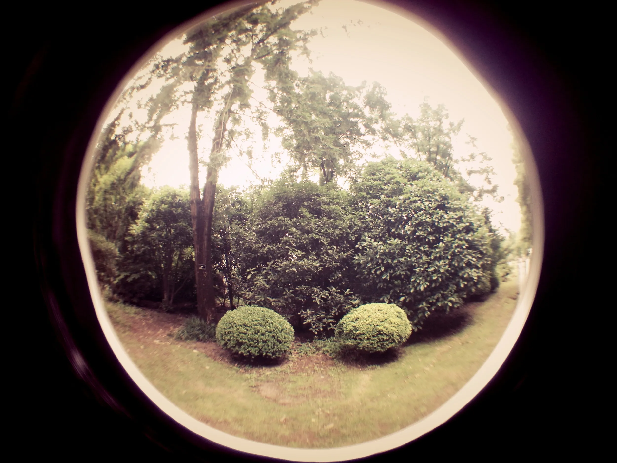 上海植物園観光