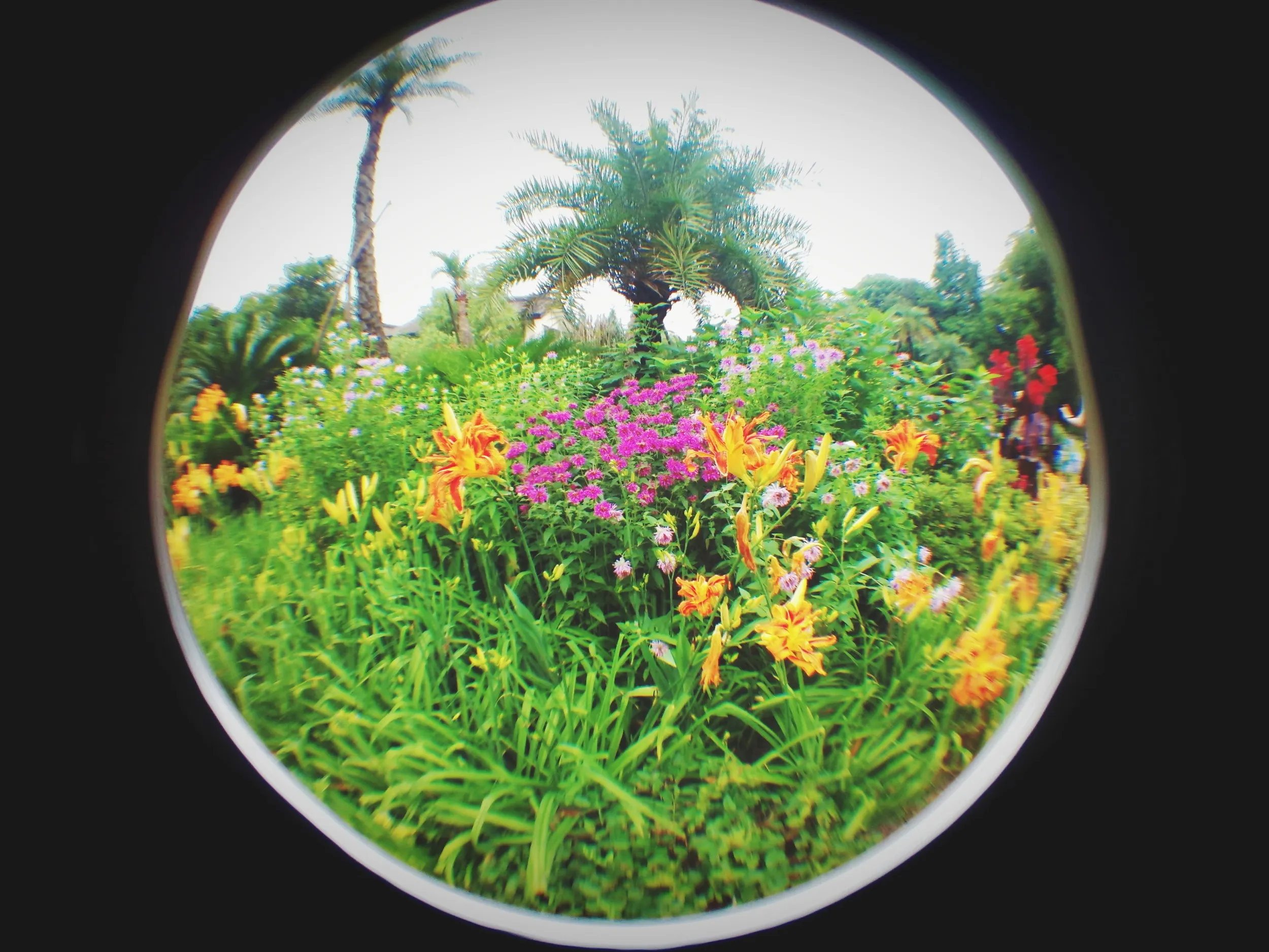 上海植物園観光