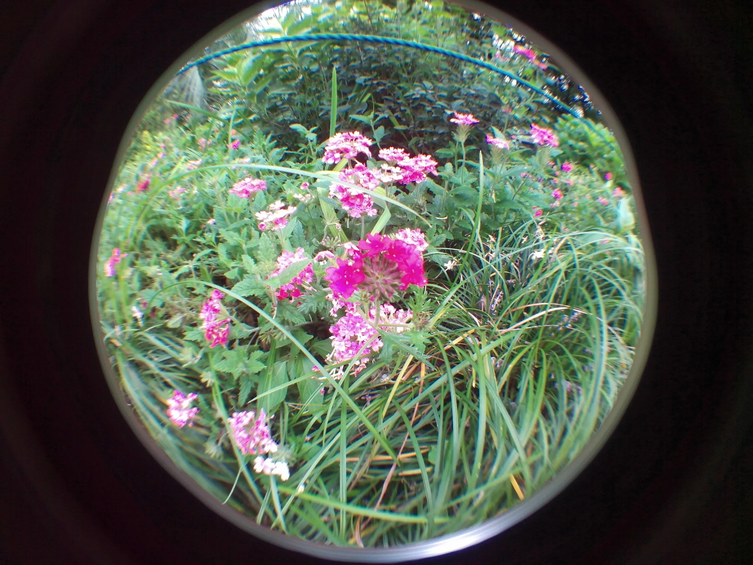 上海植物園観光