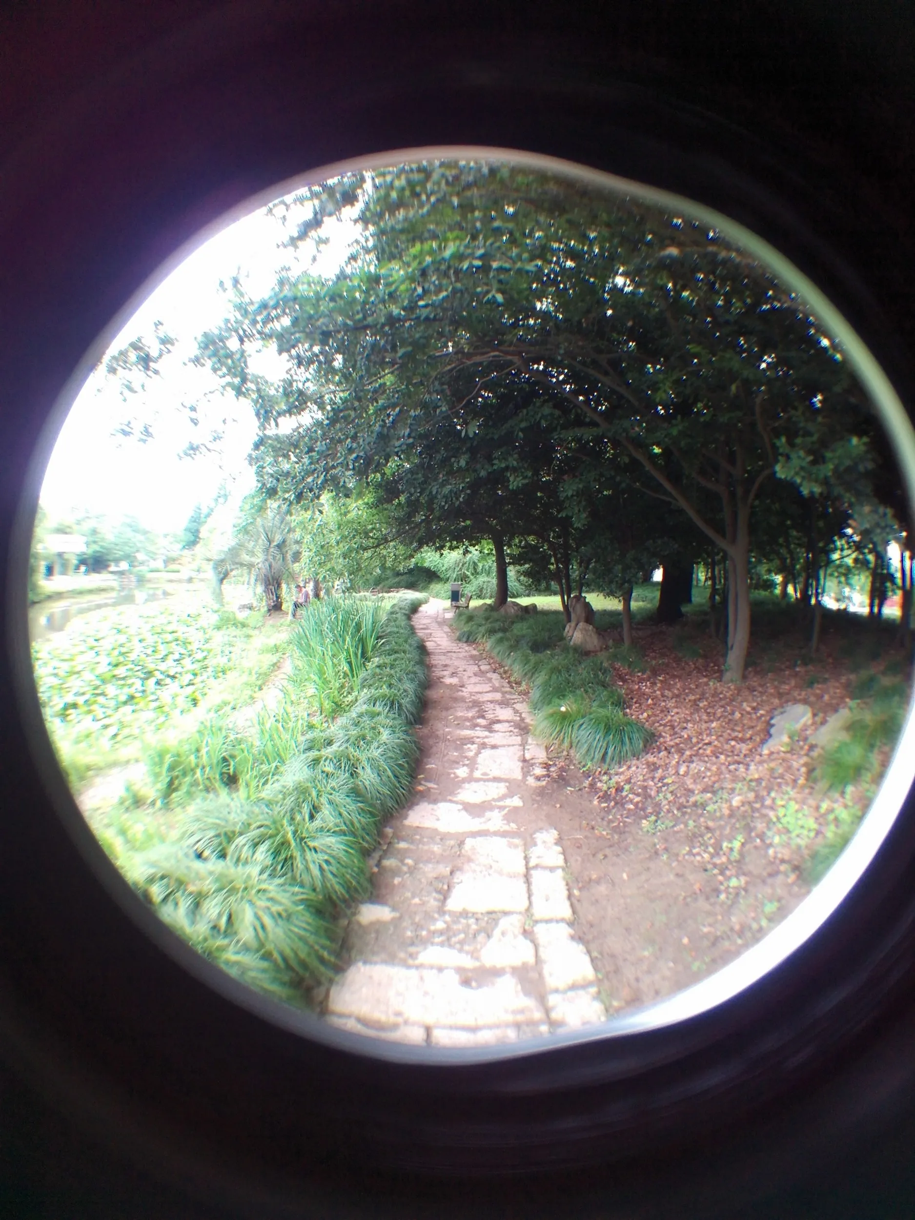 上海植物園観光