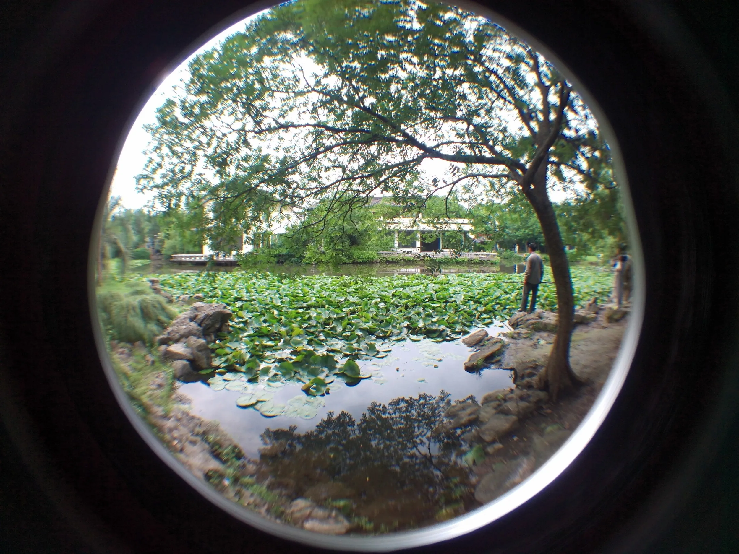 上海植物園観光