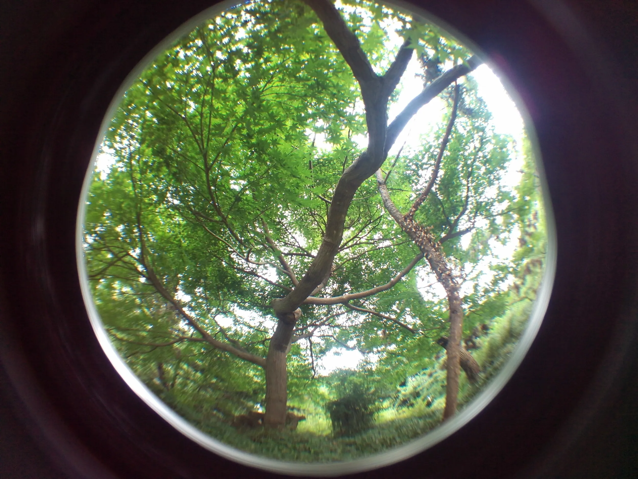 上海植物園観光