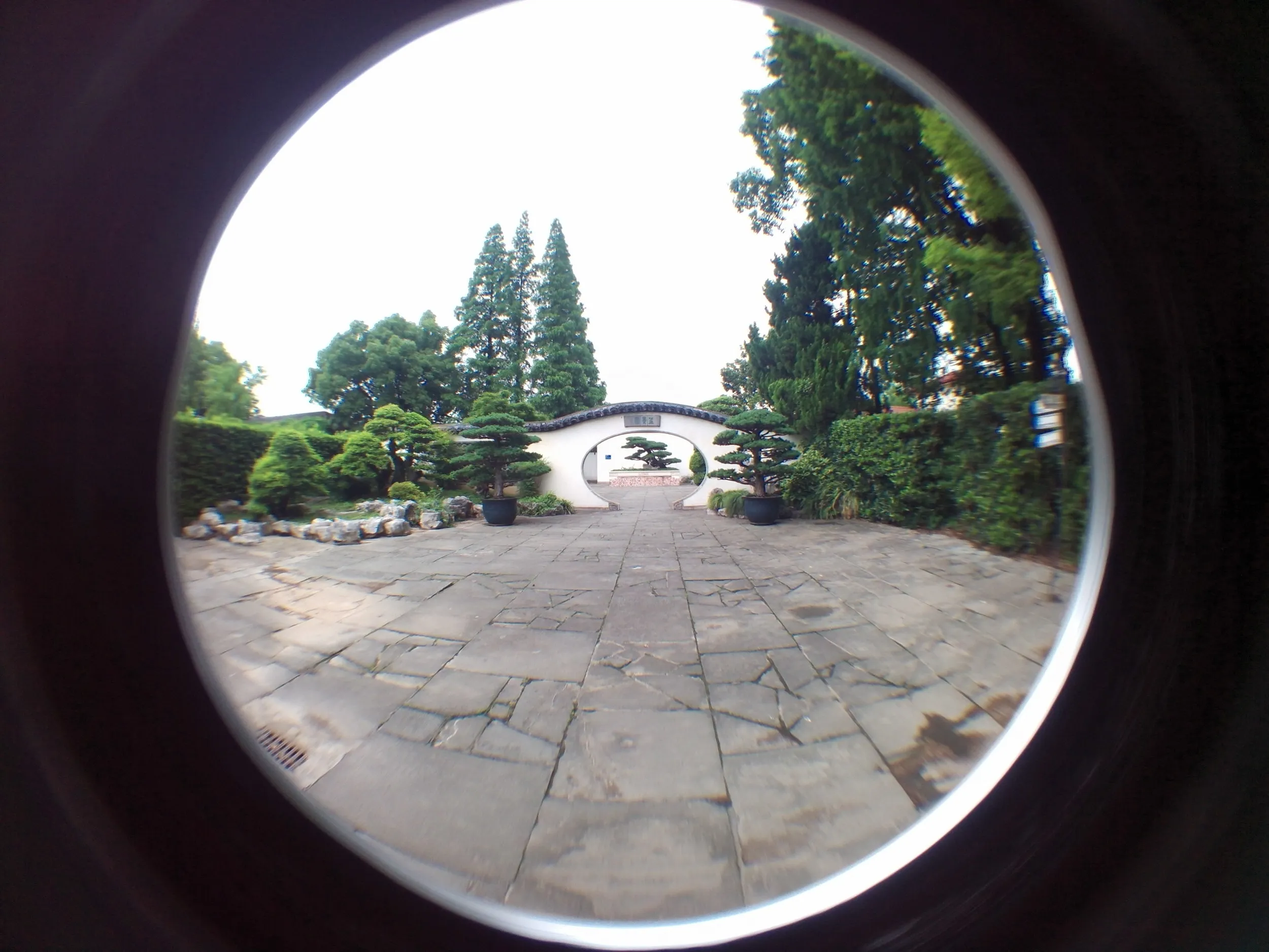 上海植物園観光