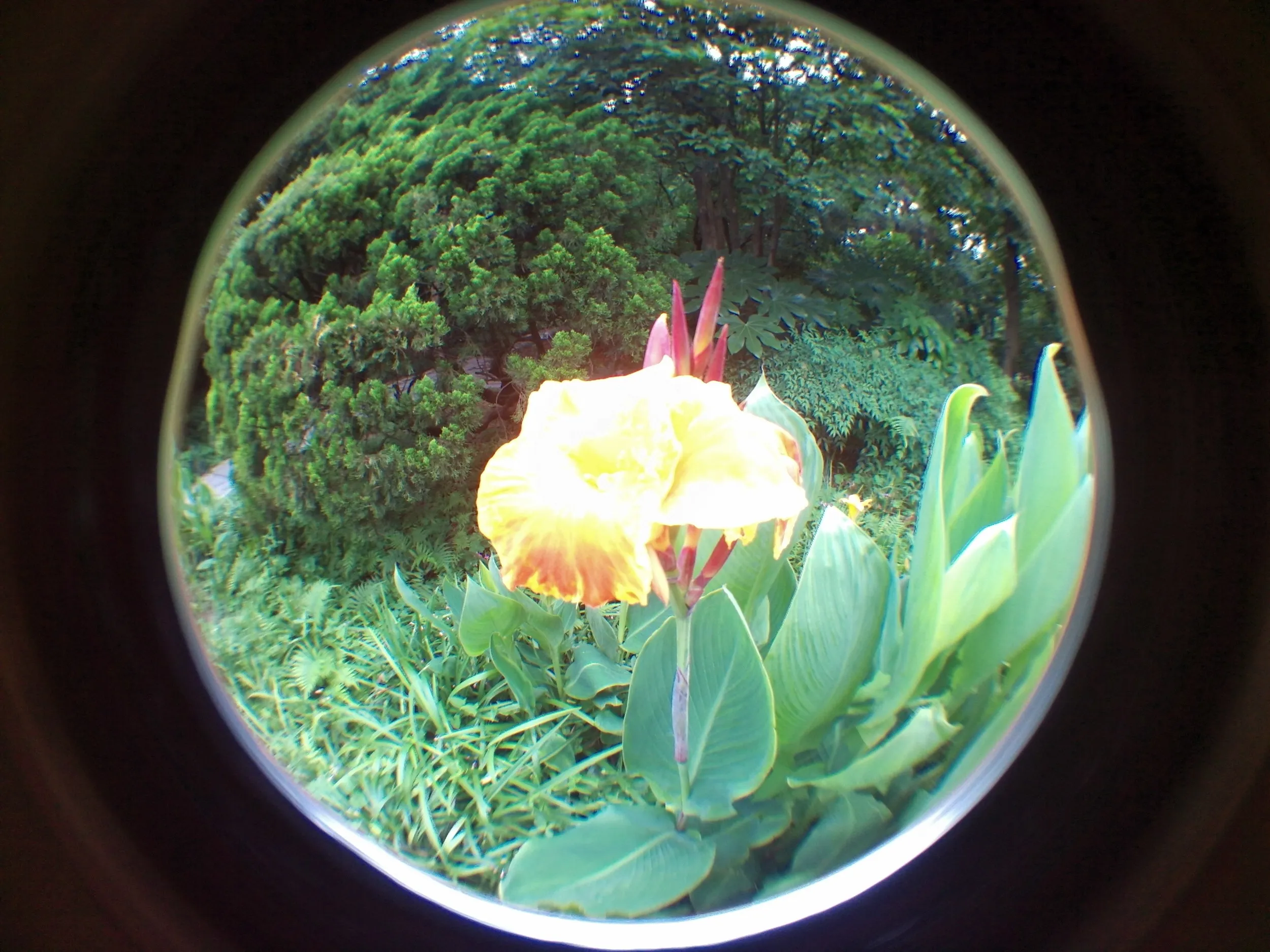 上海植物園観光