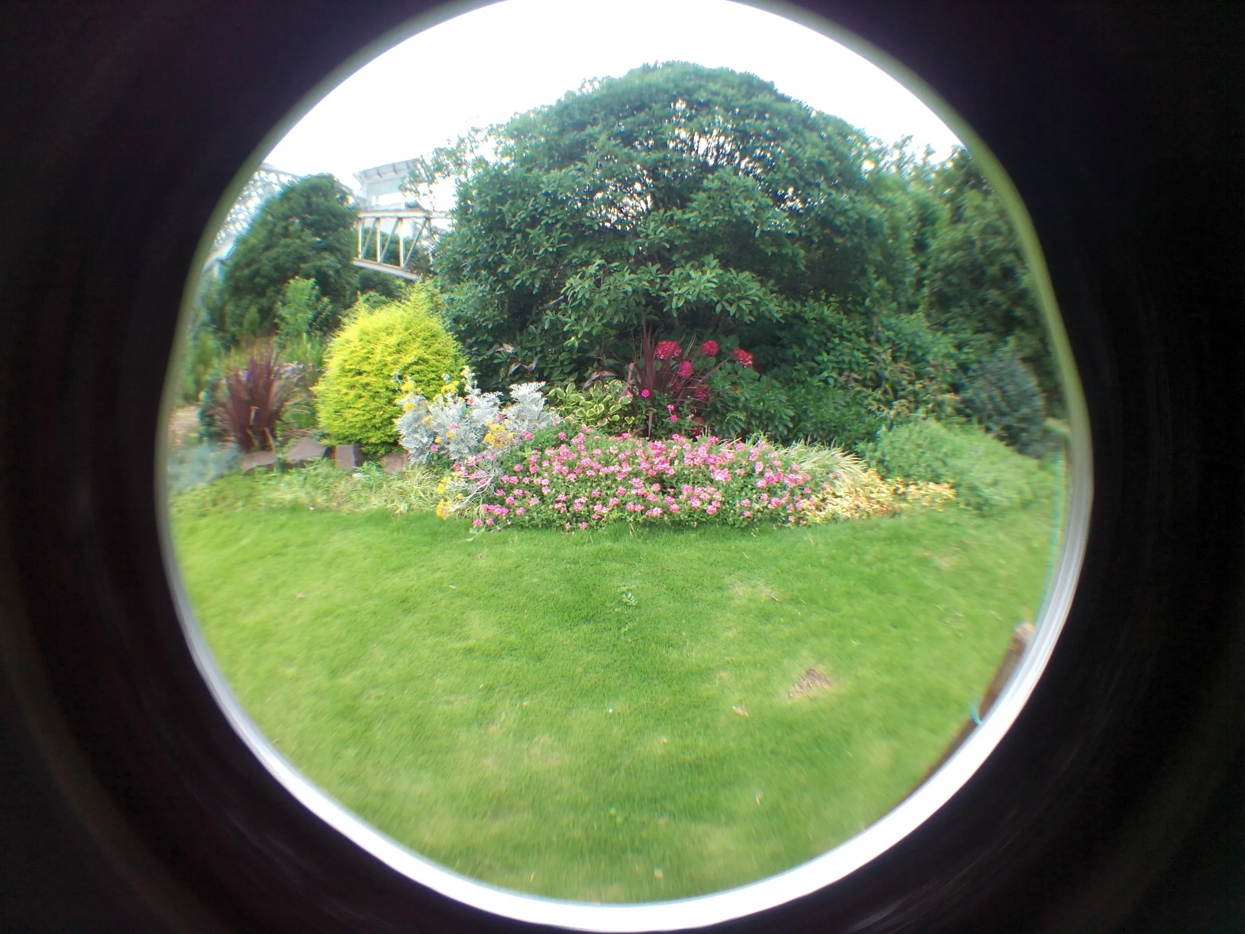 上海植物園観光