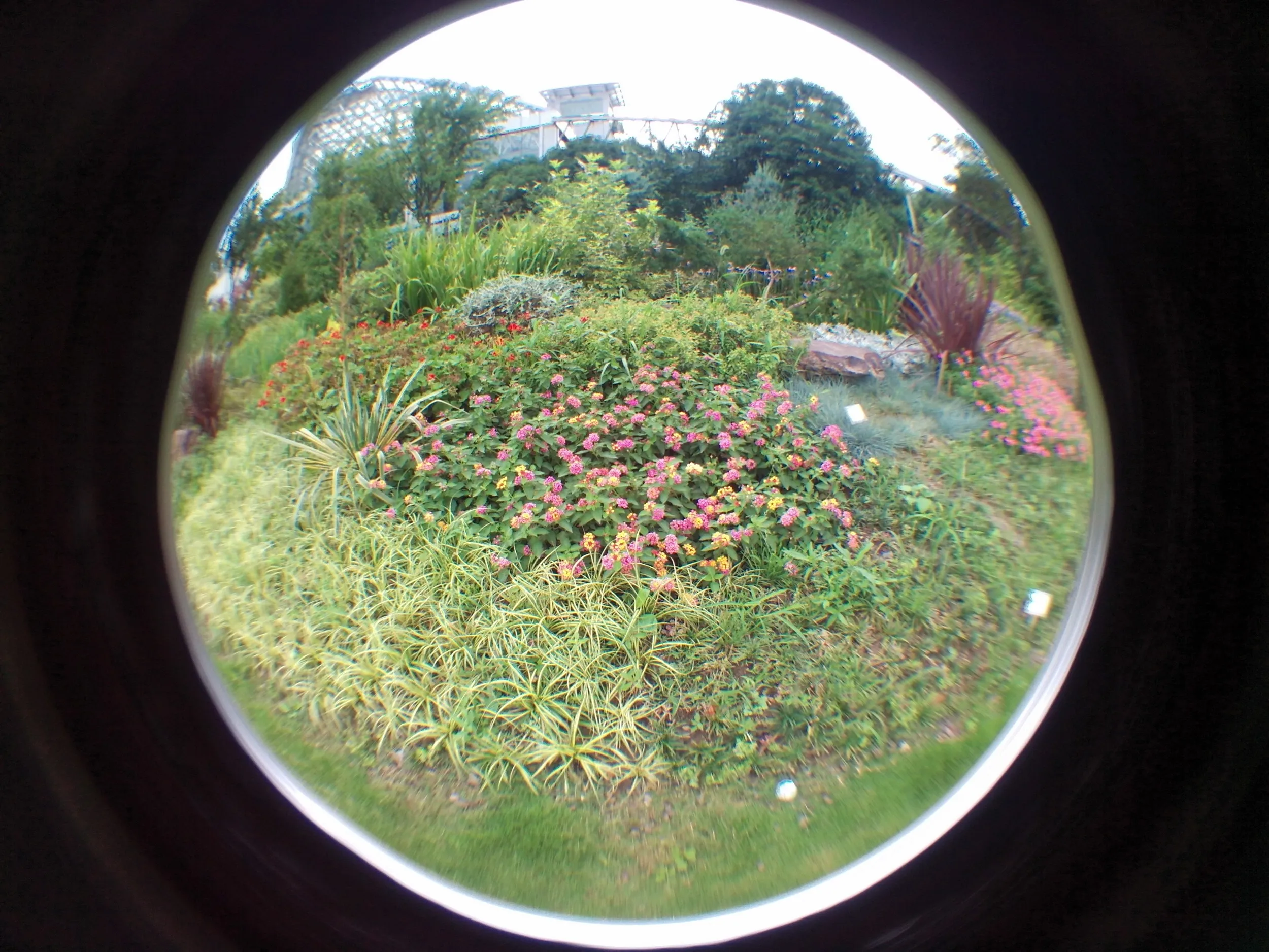 上海植物園観光