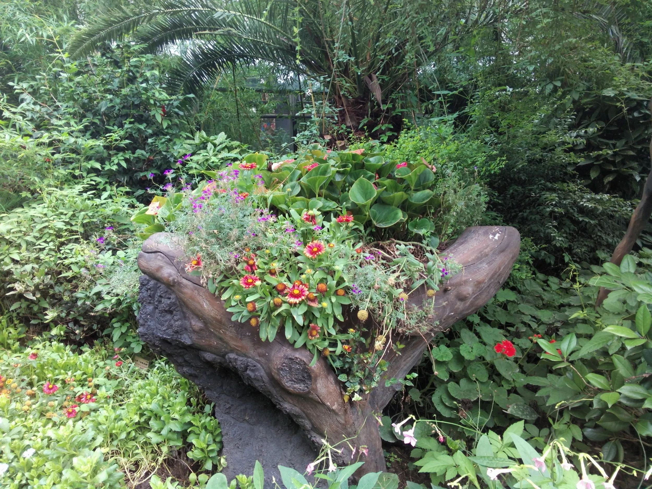上海植物園観光