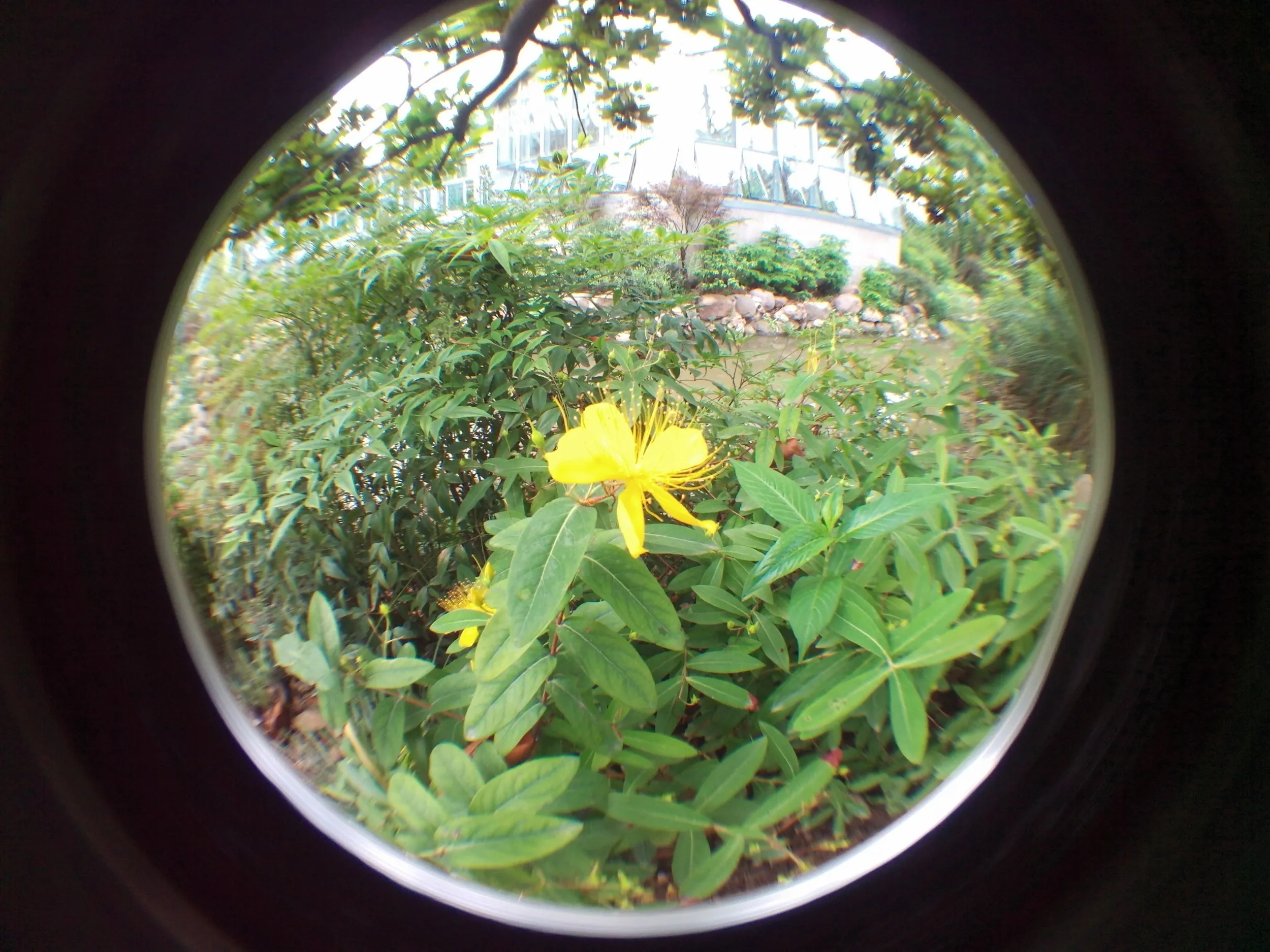 上海植物園観光