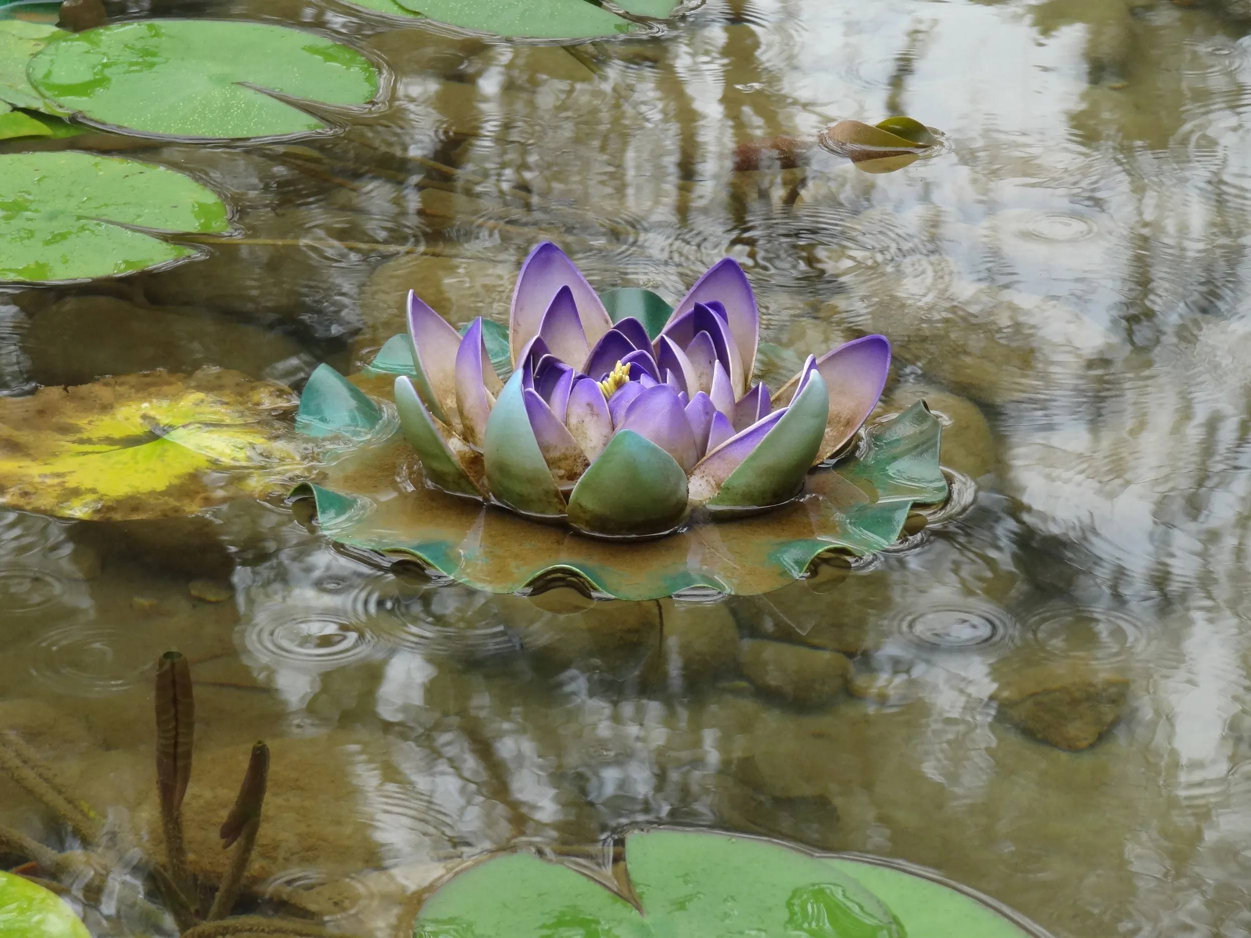 池にあるスイレンの造花