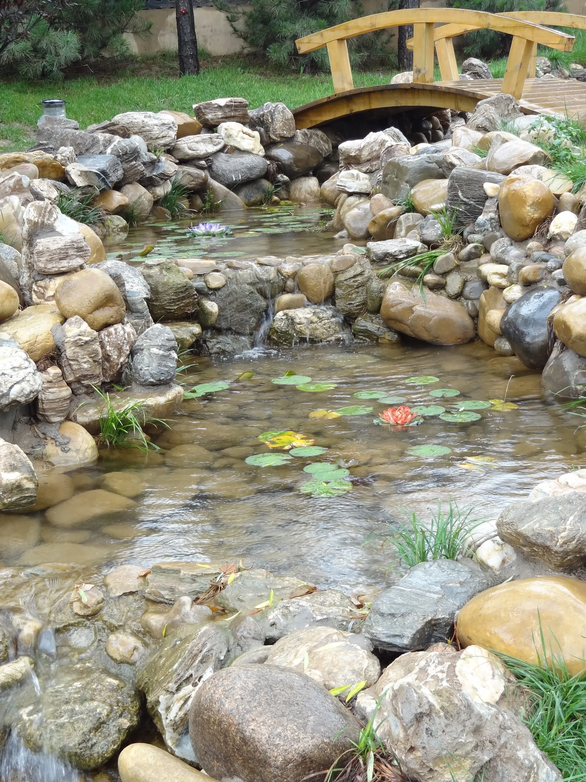 渓流を模した庭園と本物の蓮の花