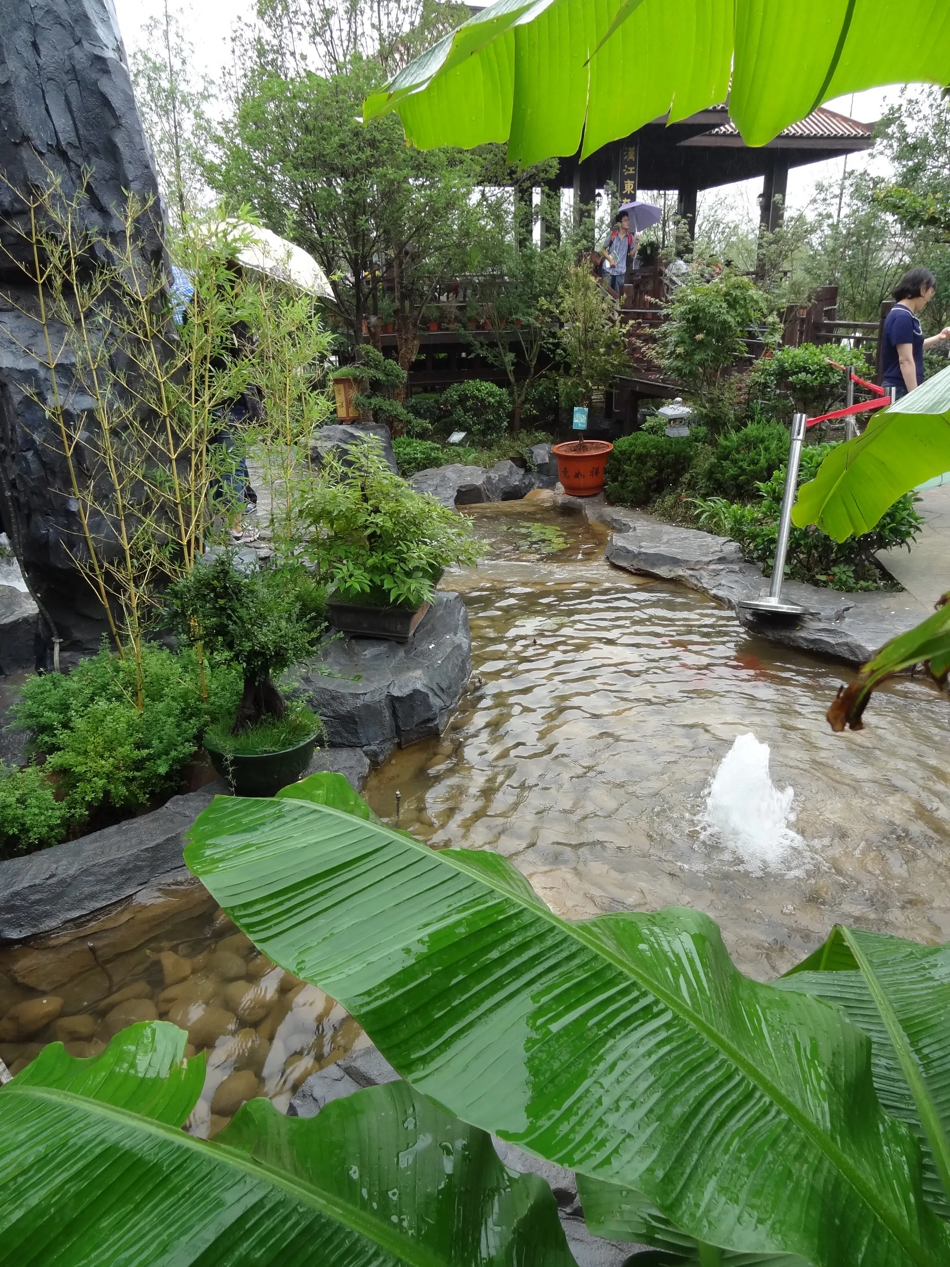 南方の自然環境を再現した庭園