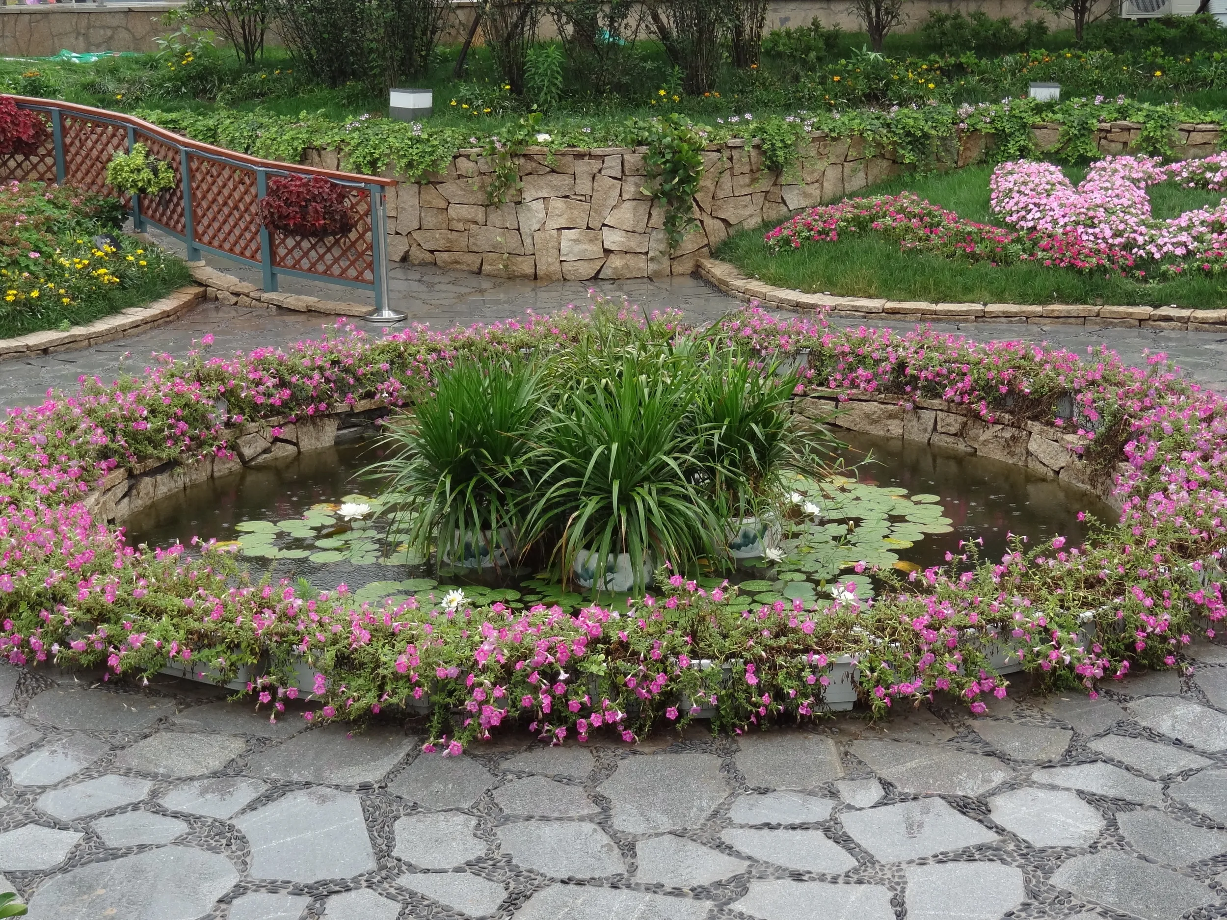 上海園の池と植物
