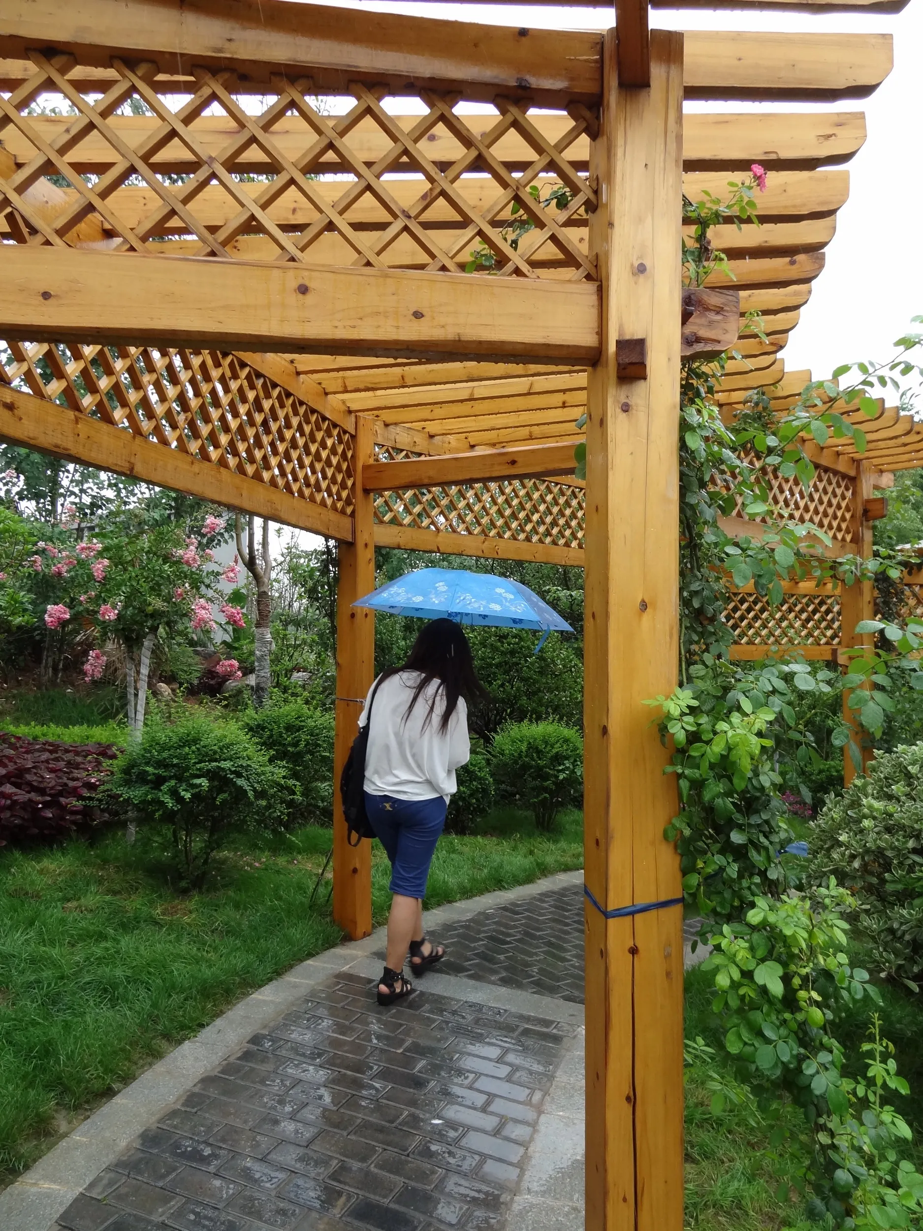 自然豊かな庭園の道