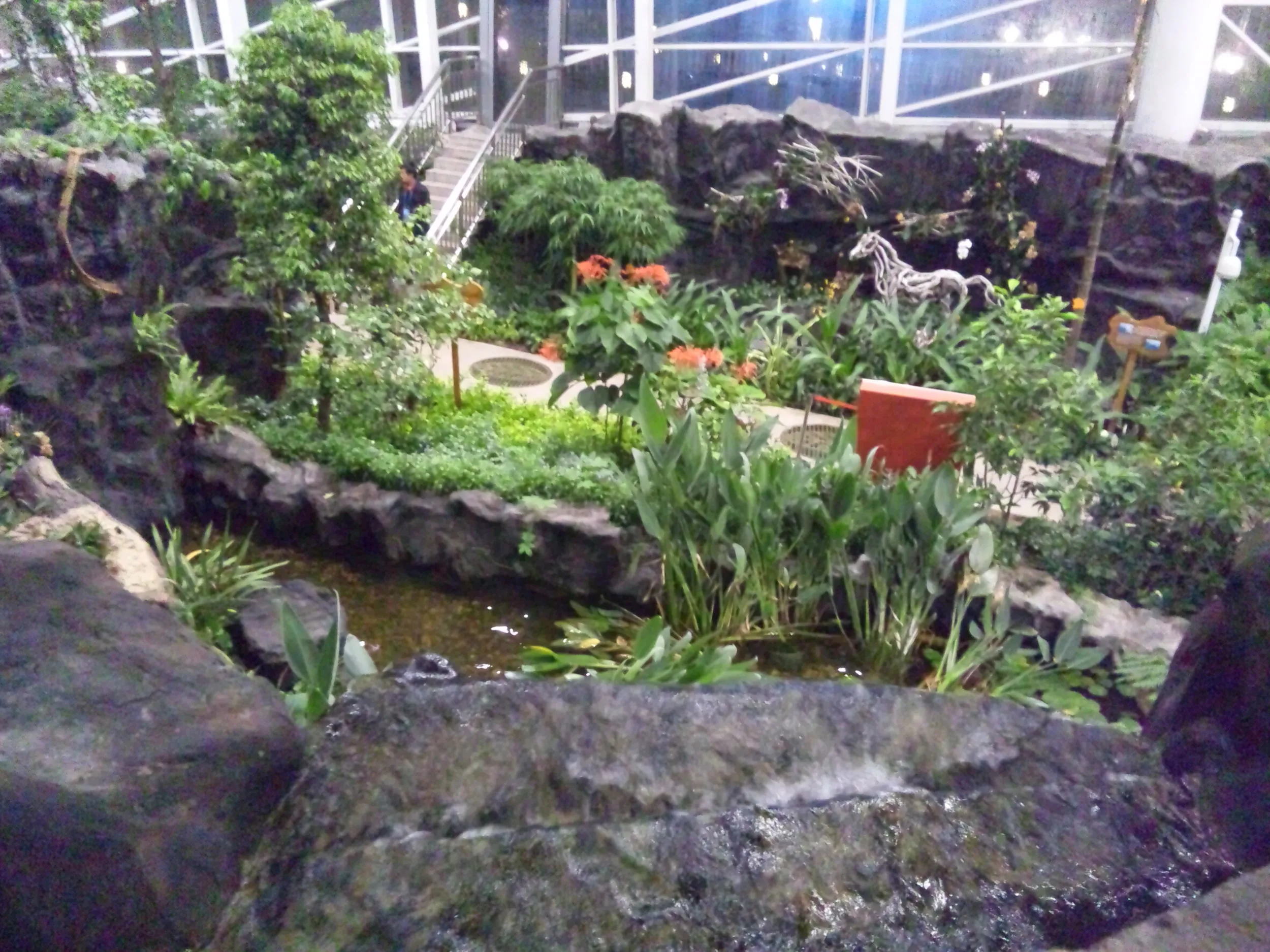自然館の風景