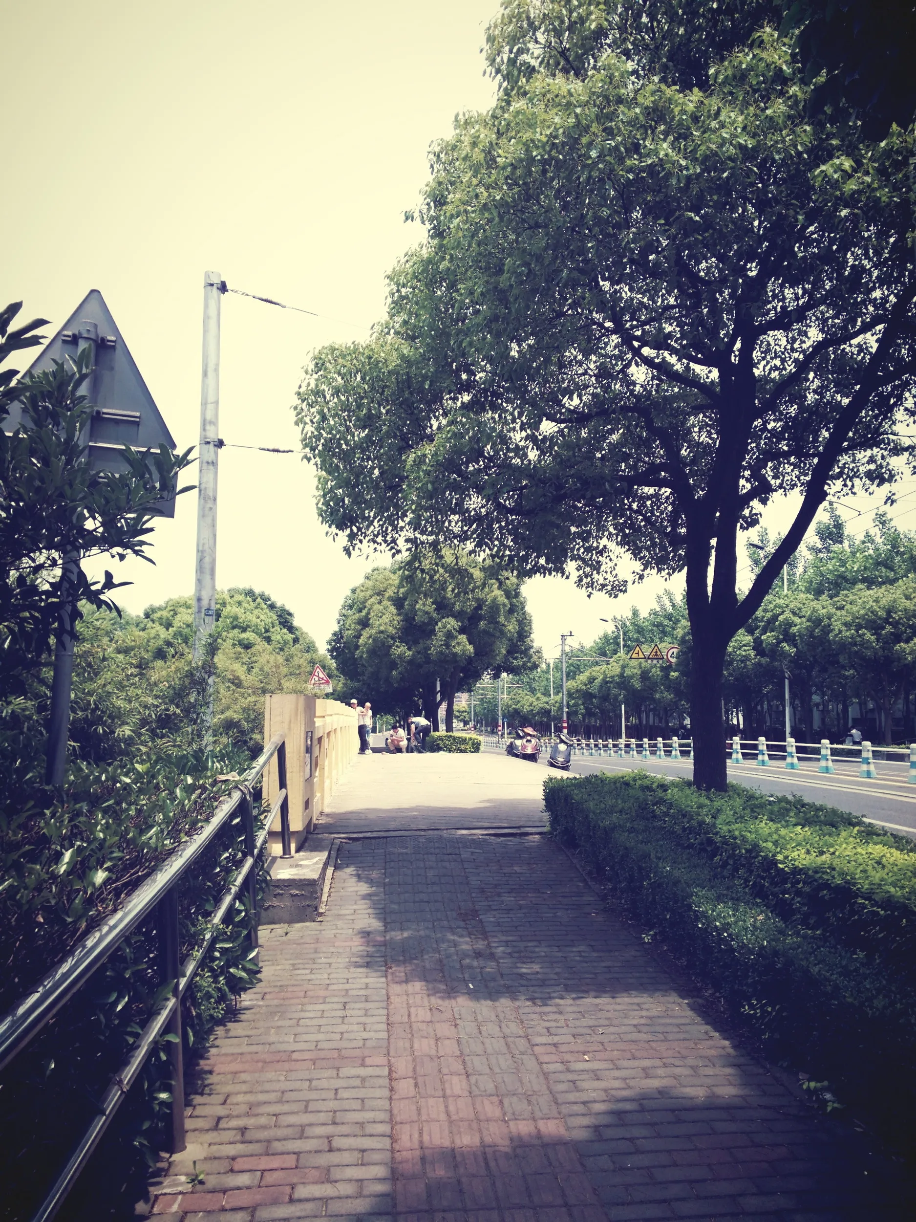 上海、張江高科付近の風景
