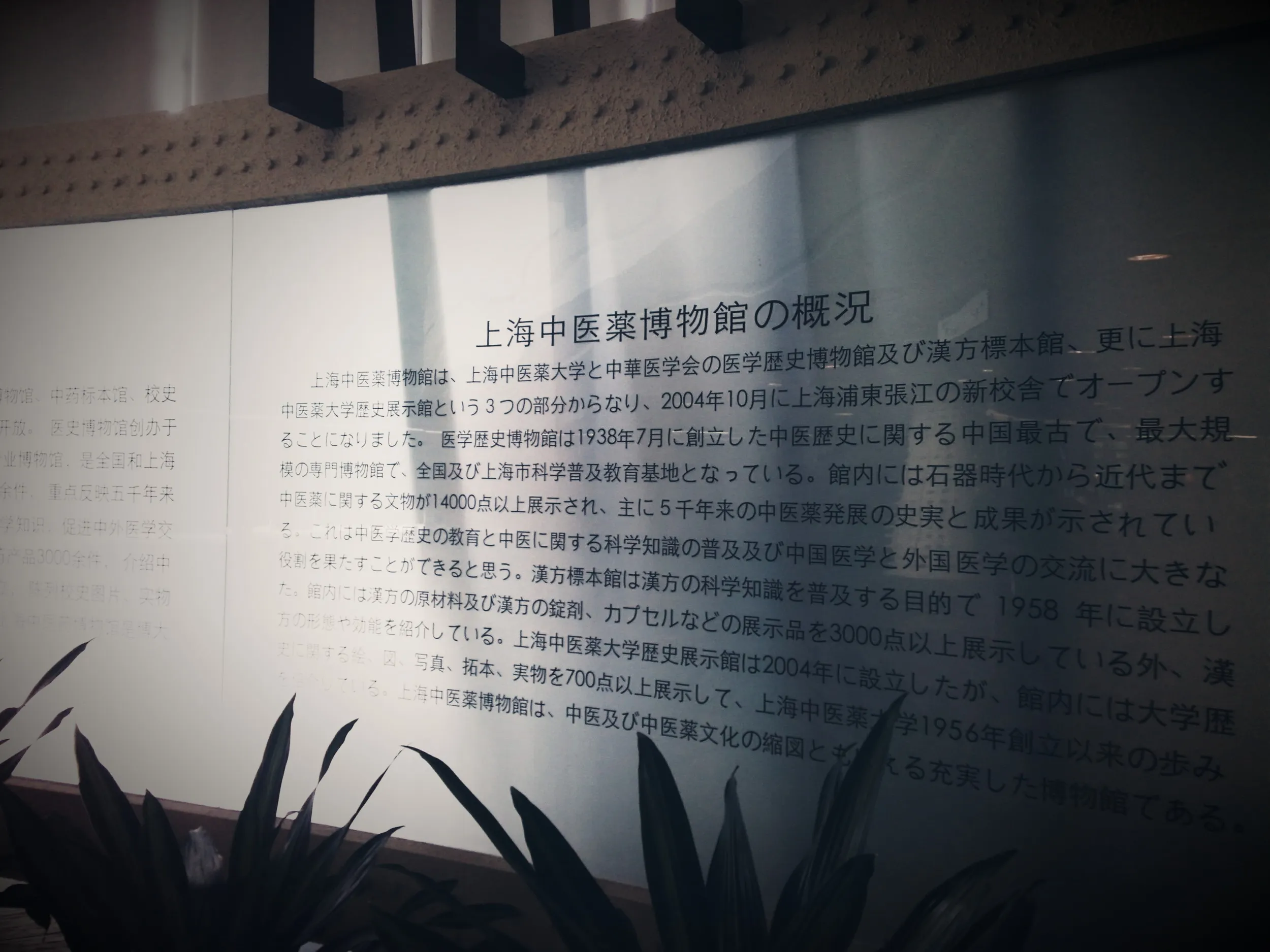 上海中医葯博物館