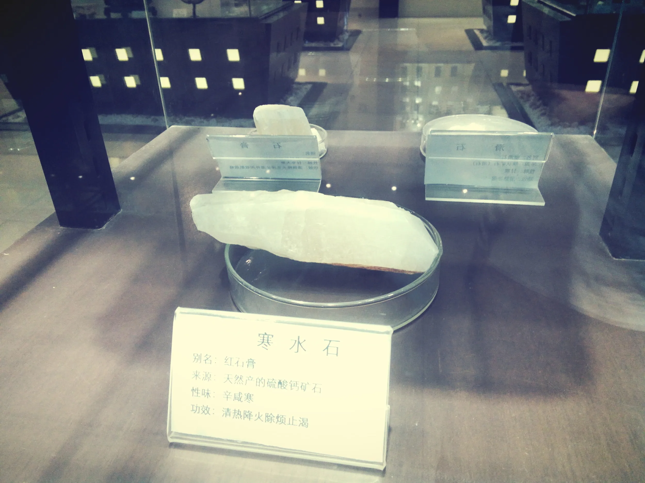 上海中医葯博物館