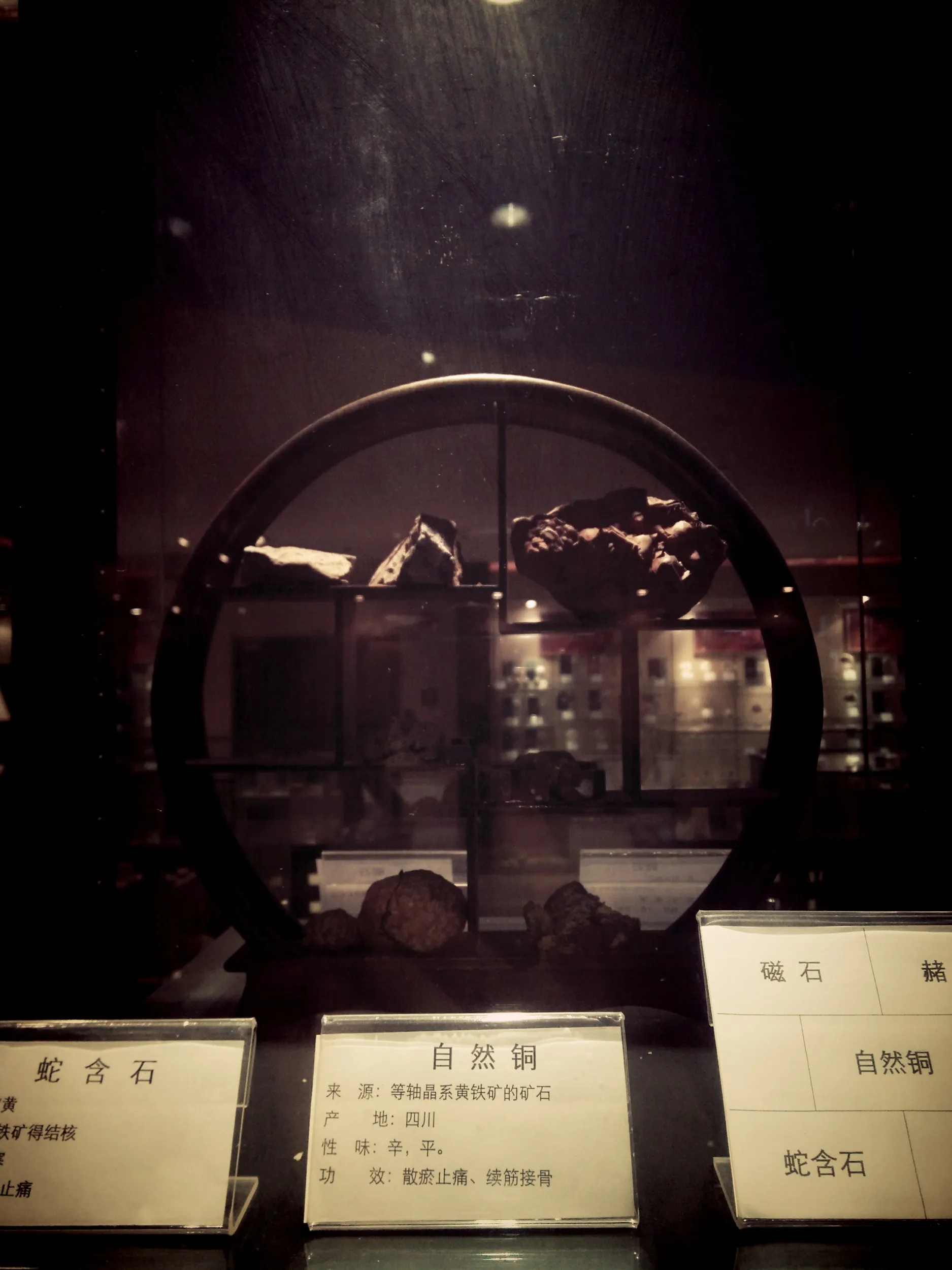 上海中医葯博物館