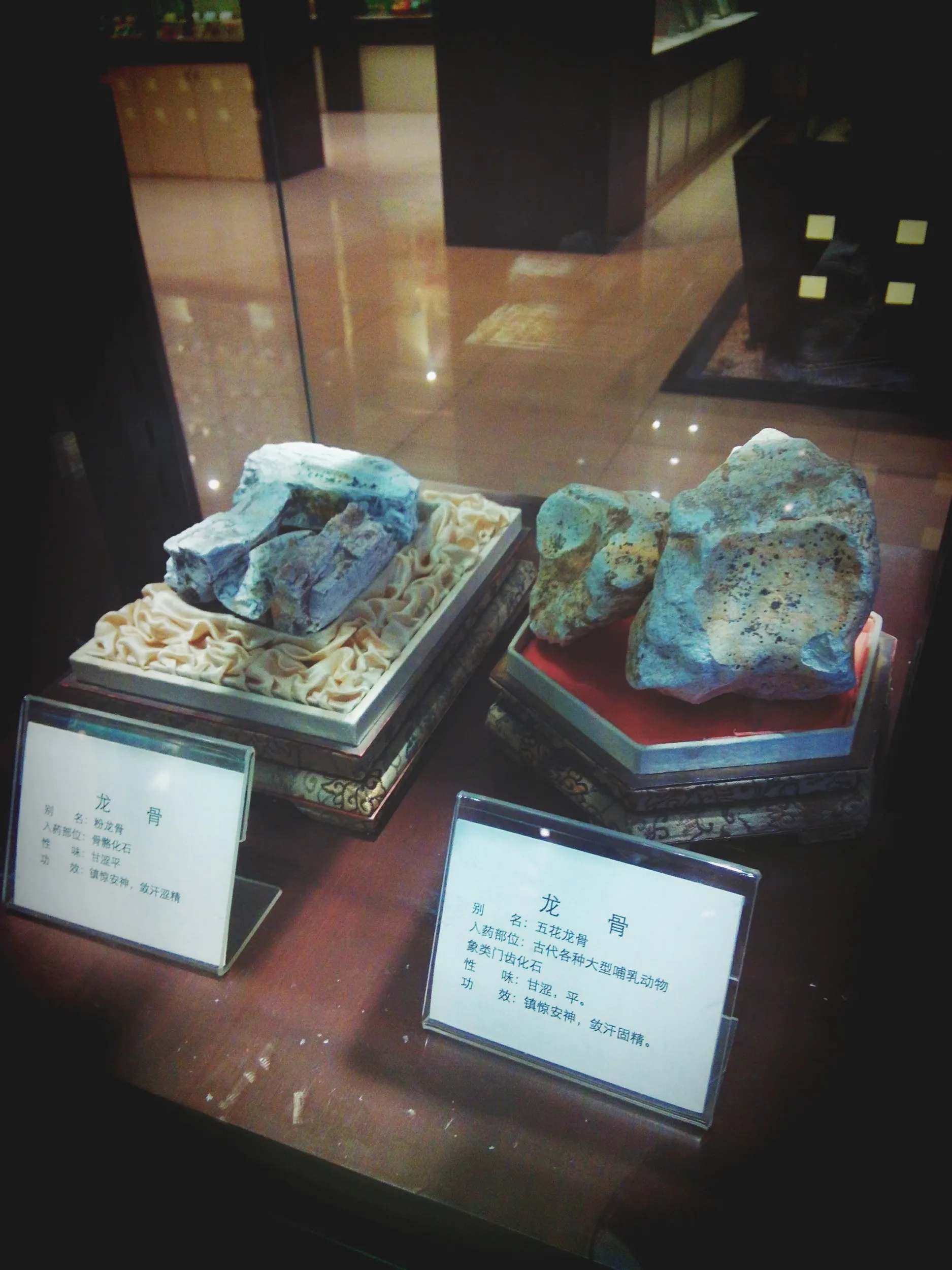 上海中医葯博物館