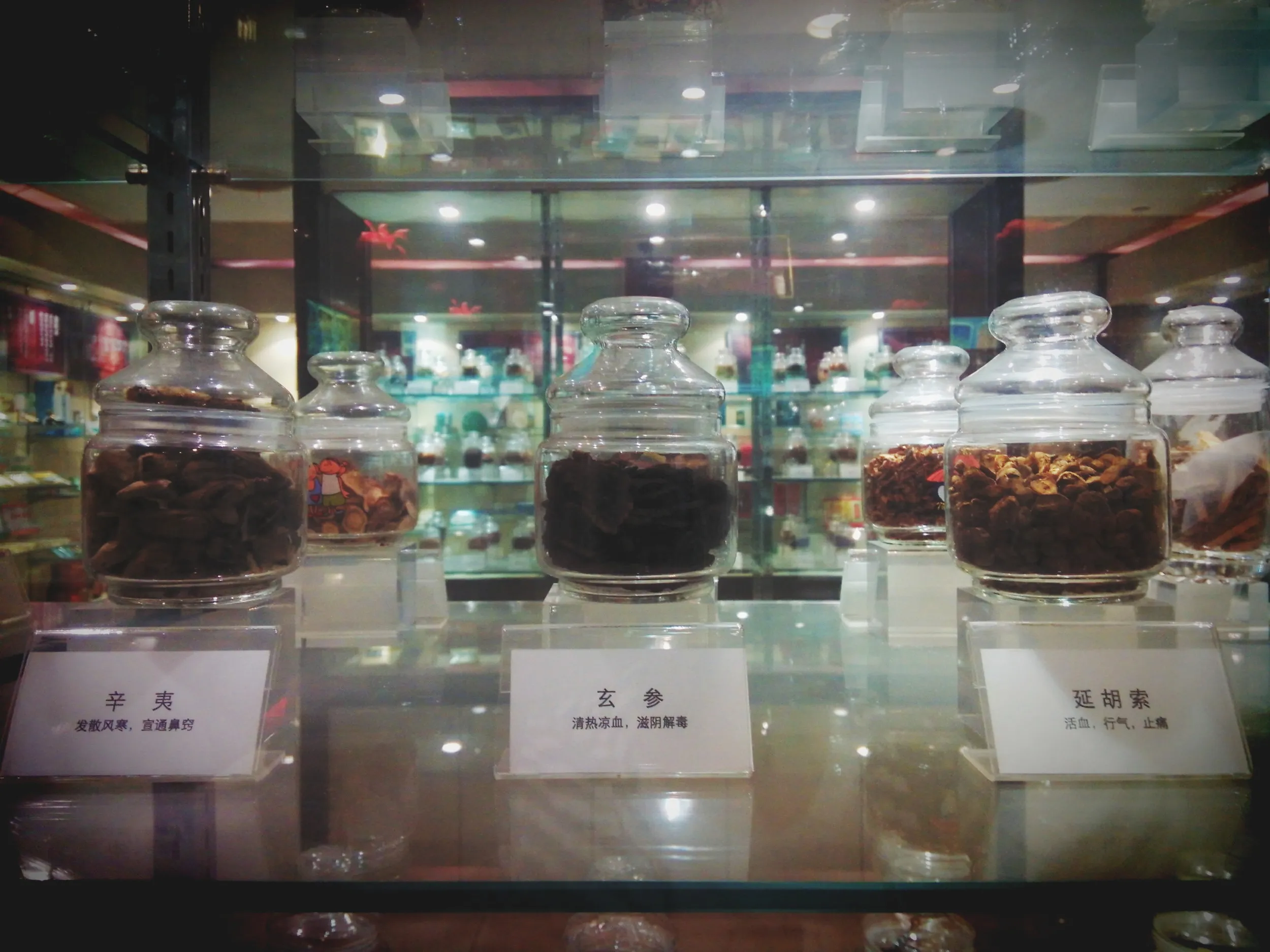 上海中医葯博物館