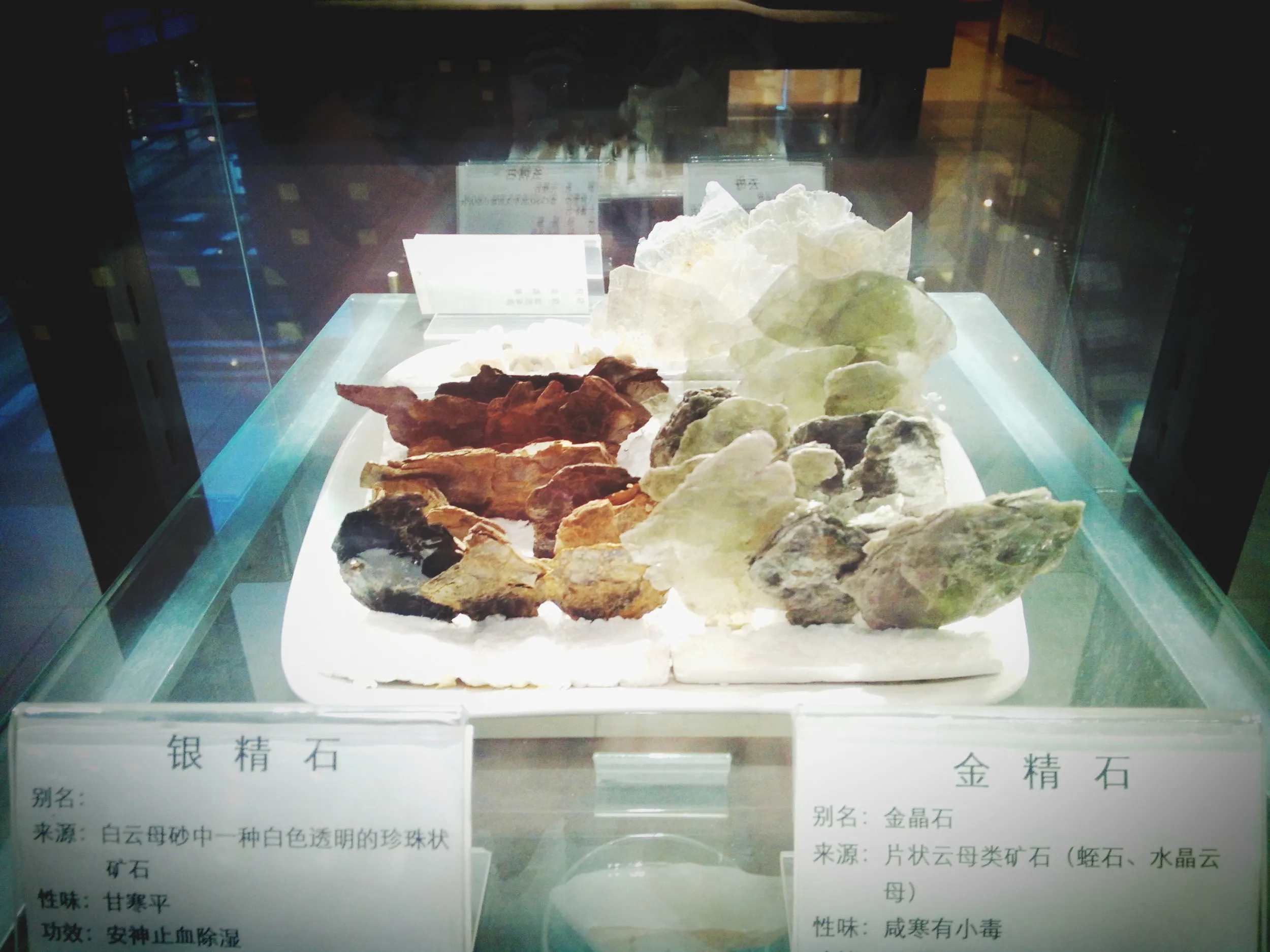 上海中医葯博物館