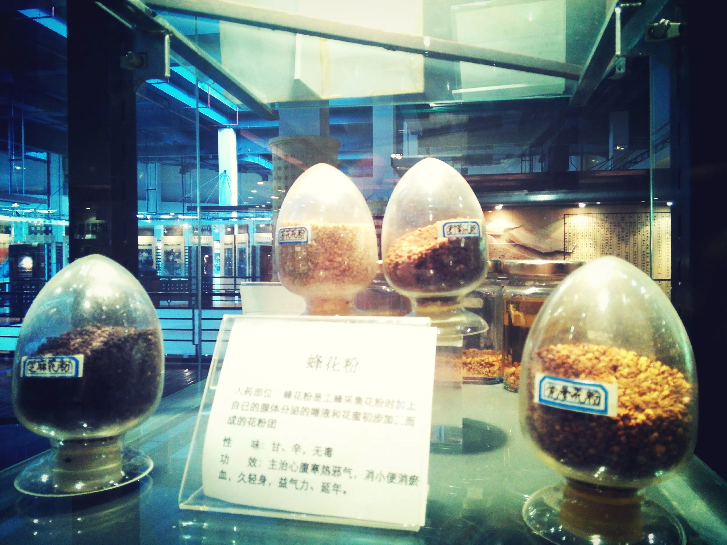 上海中医葯博物館