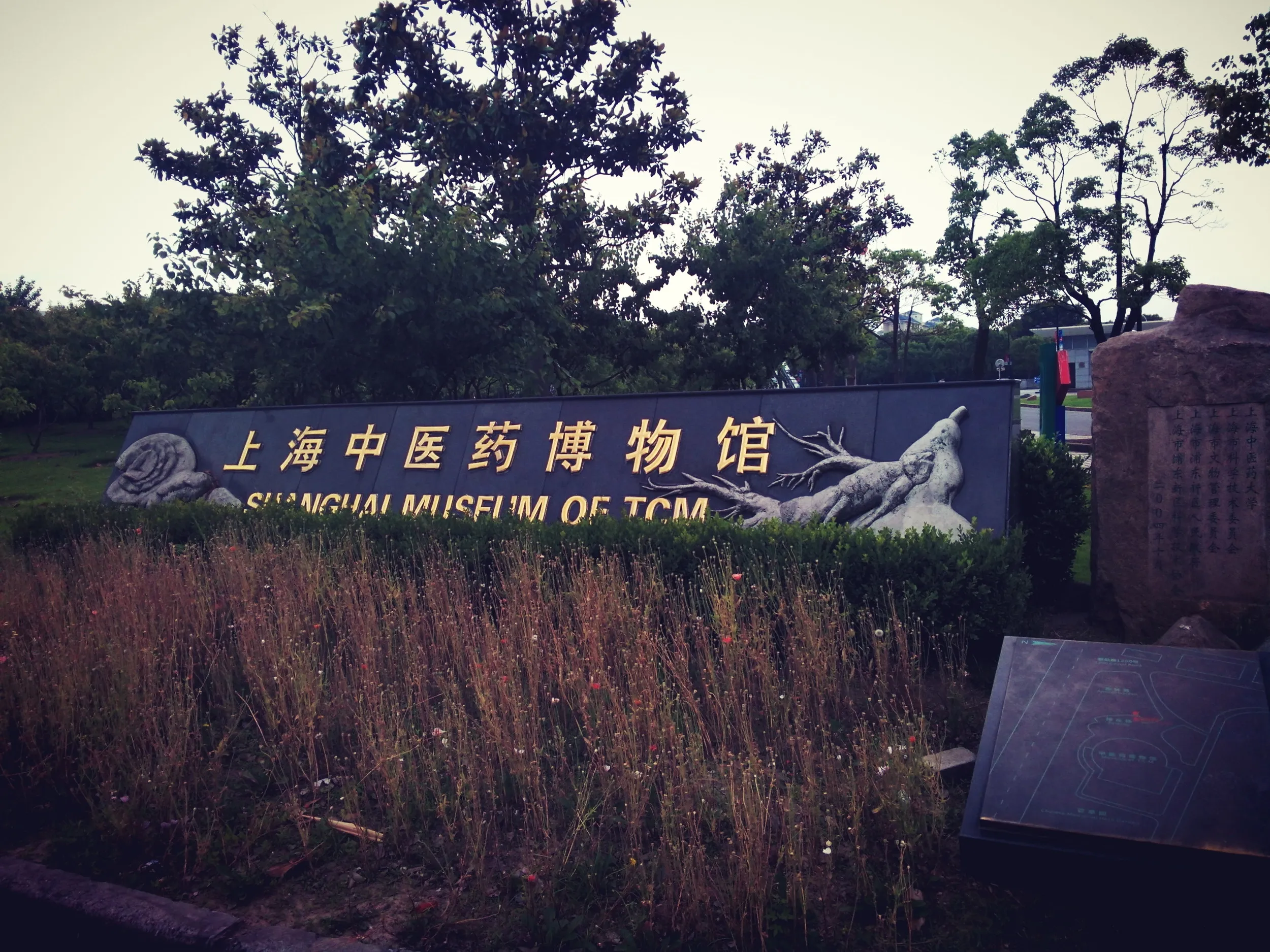 上海中医葯博物館