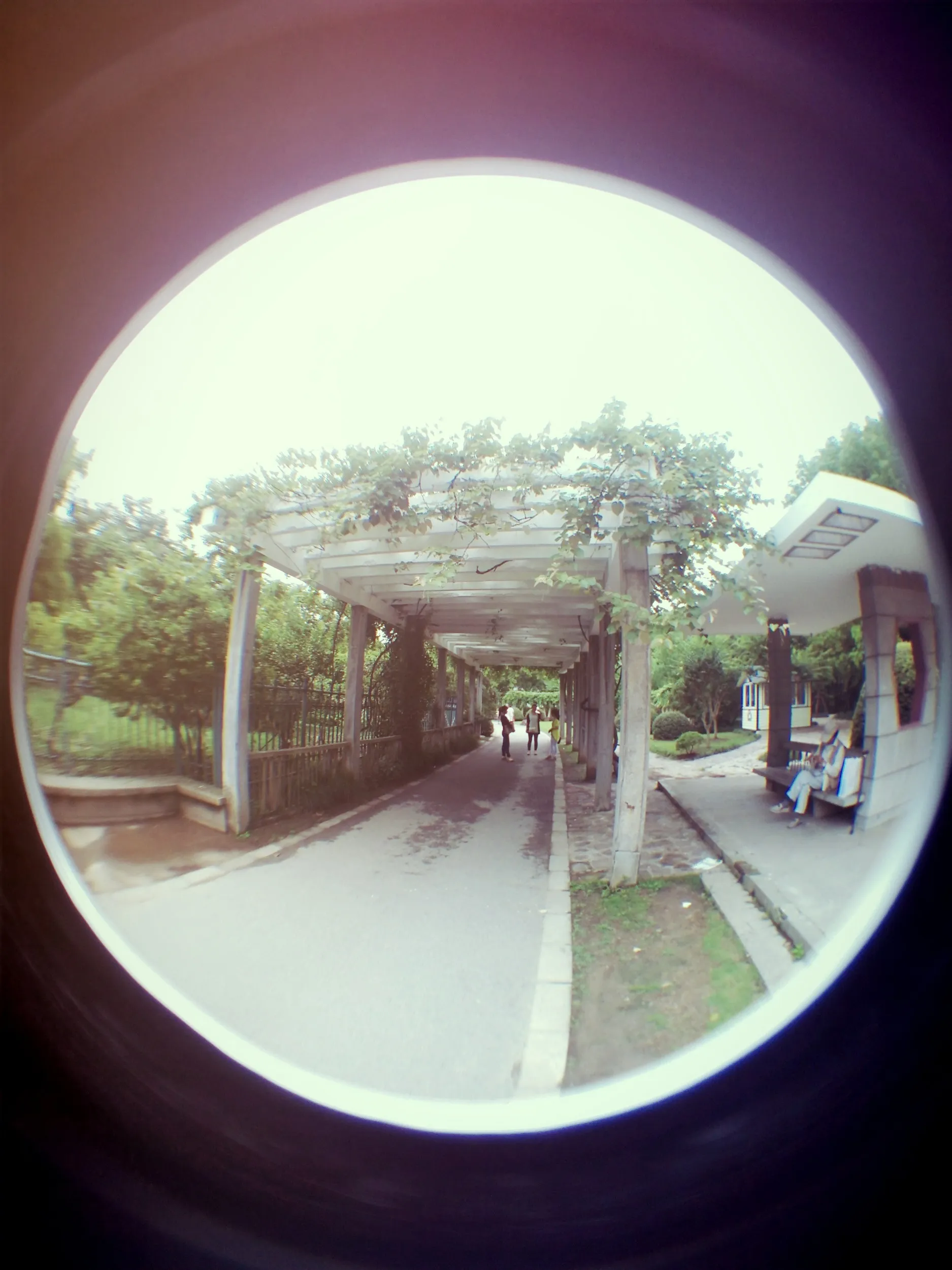 上海植物園観光