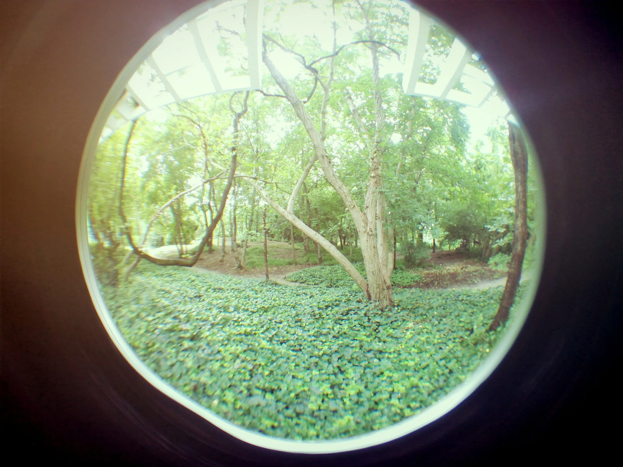 上海植物園観光