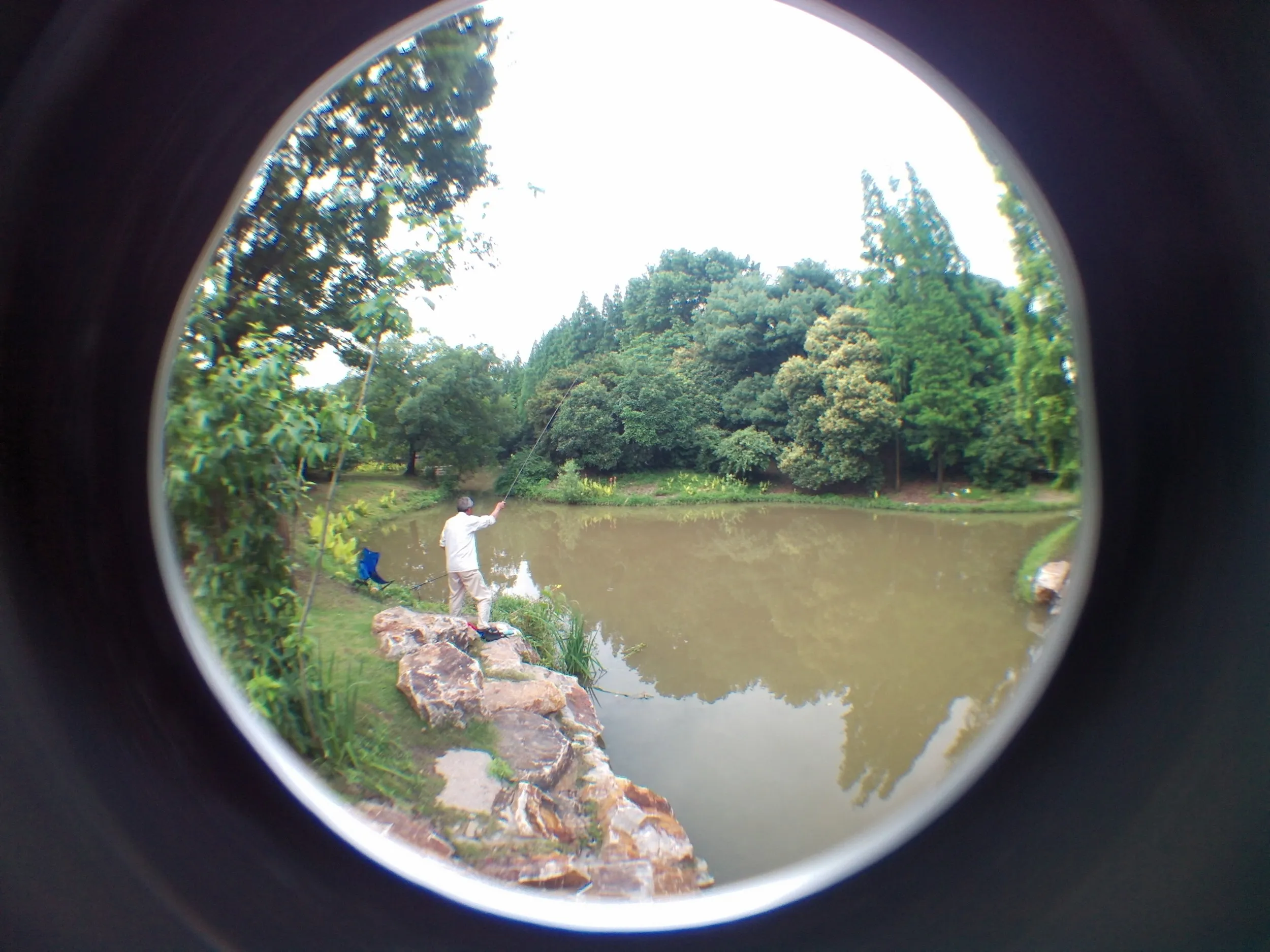 上海植物園観光