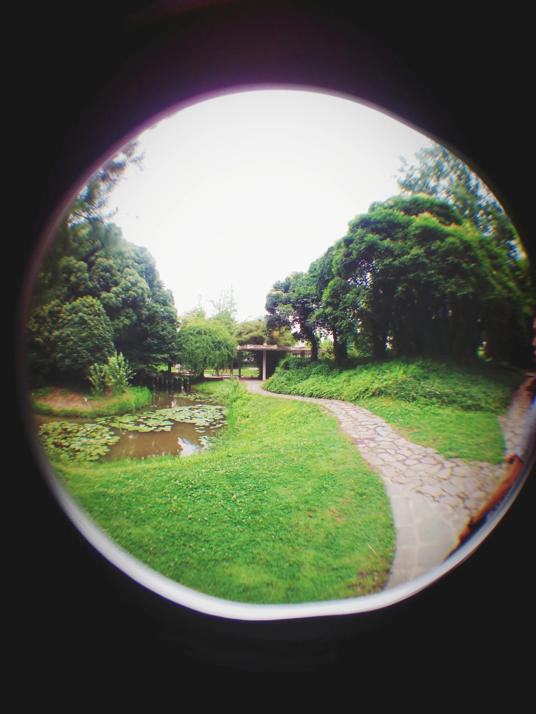 上海植物園観光