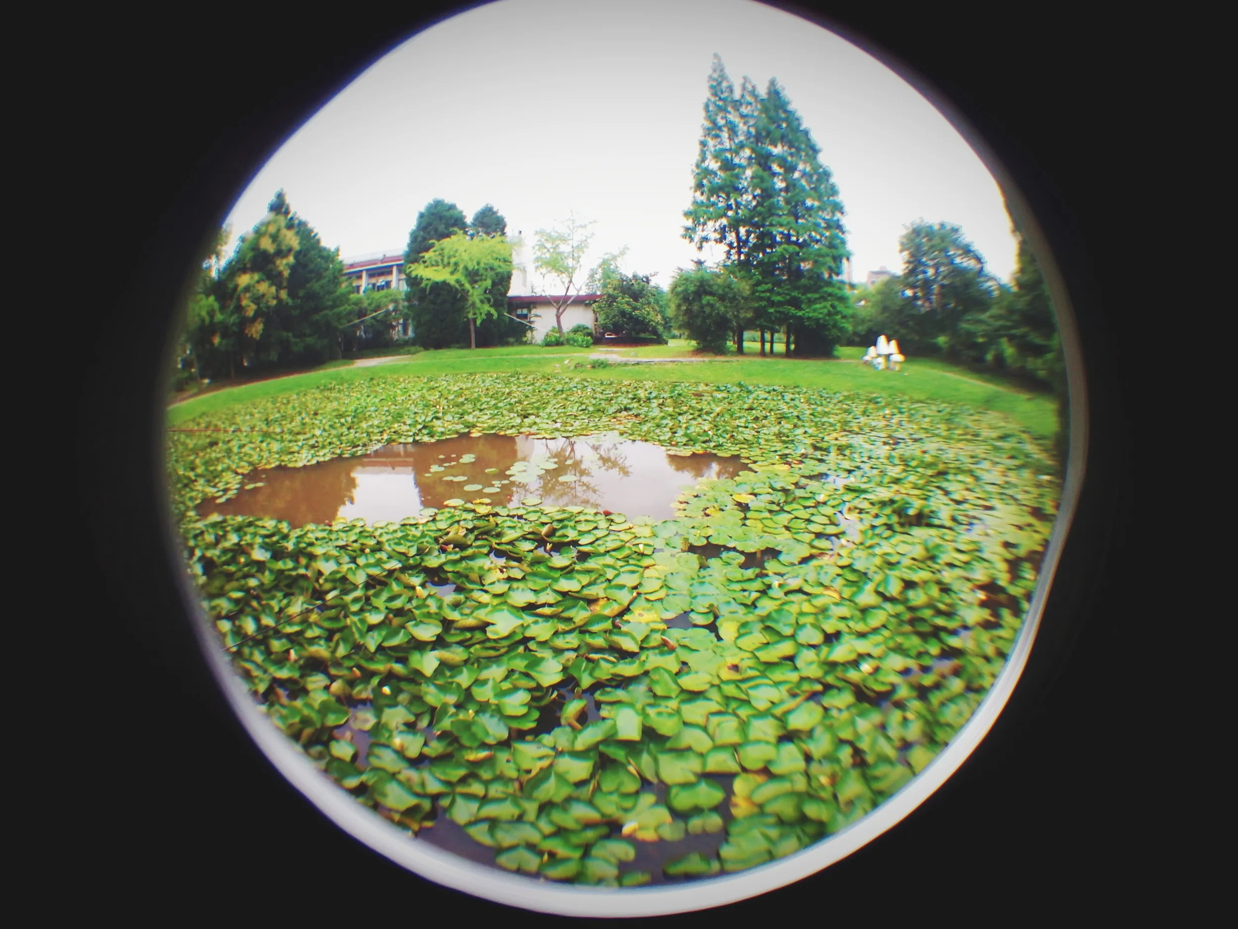 上海植物園観光