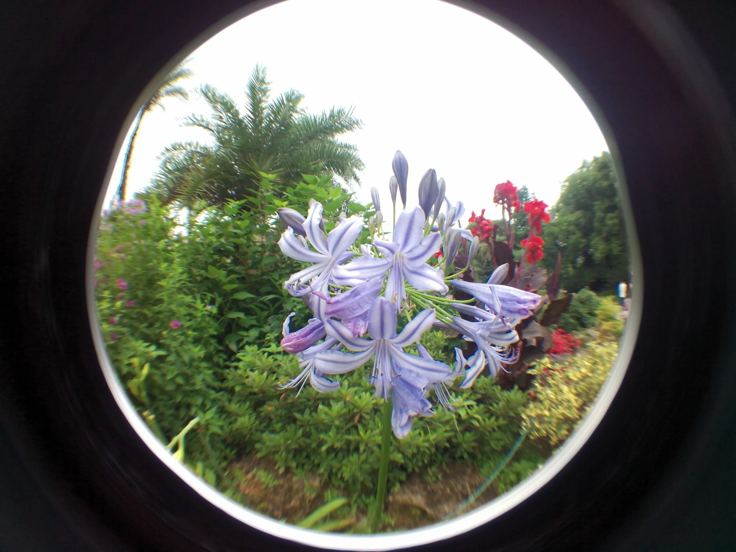 上海植物園観光