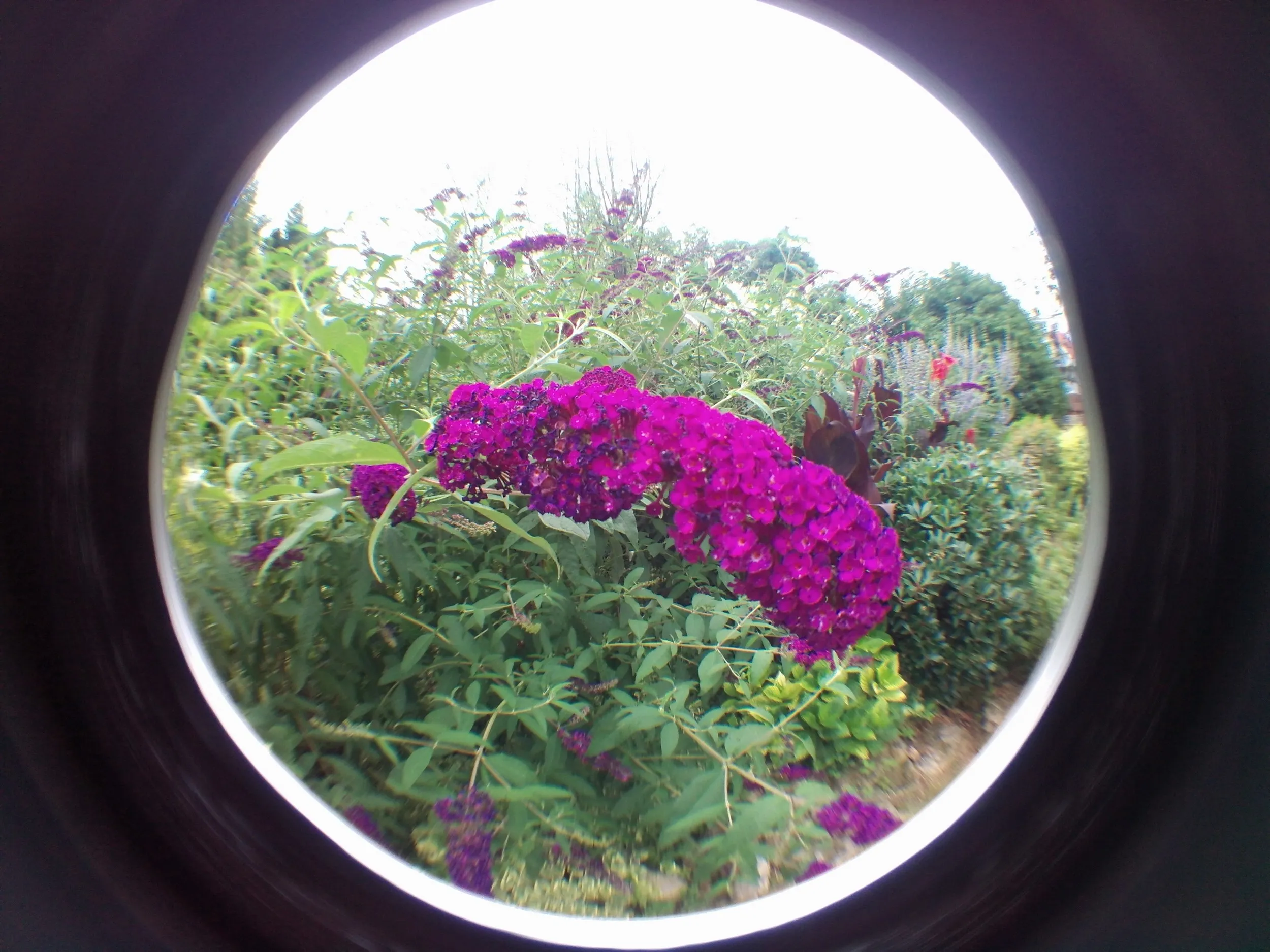 上海植物園観光