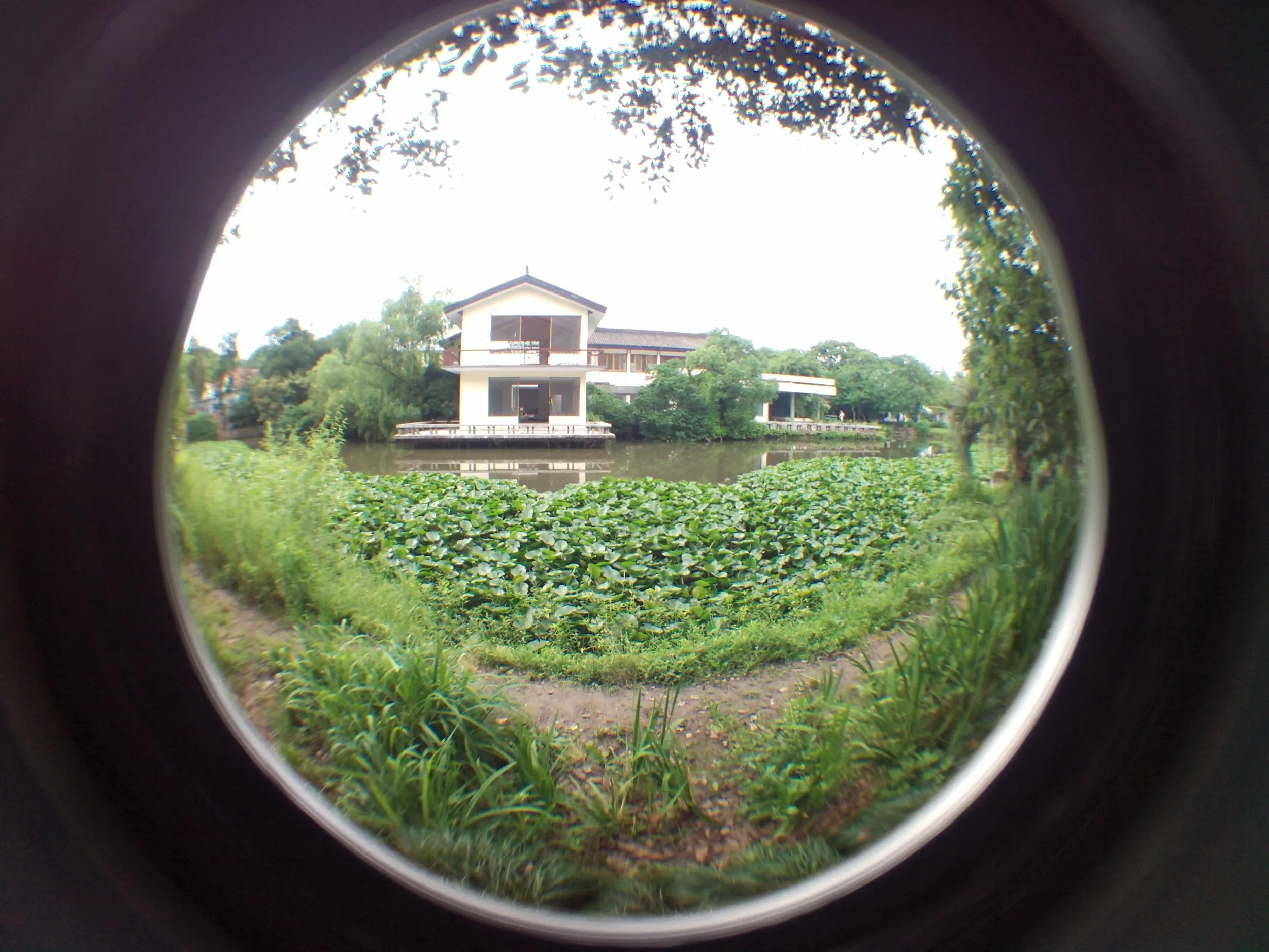上海植物園観光