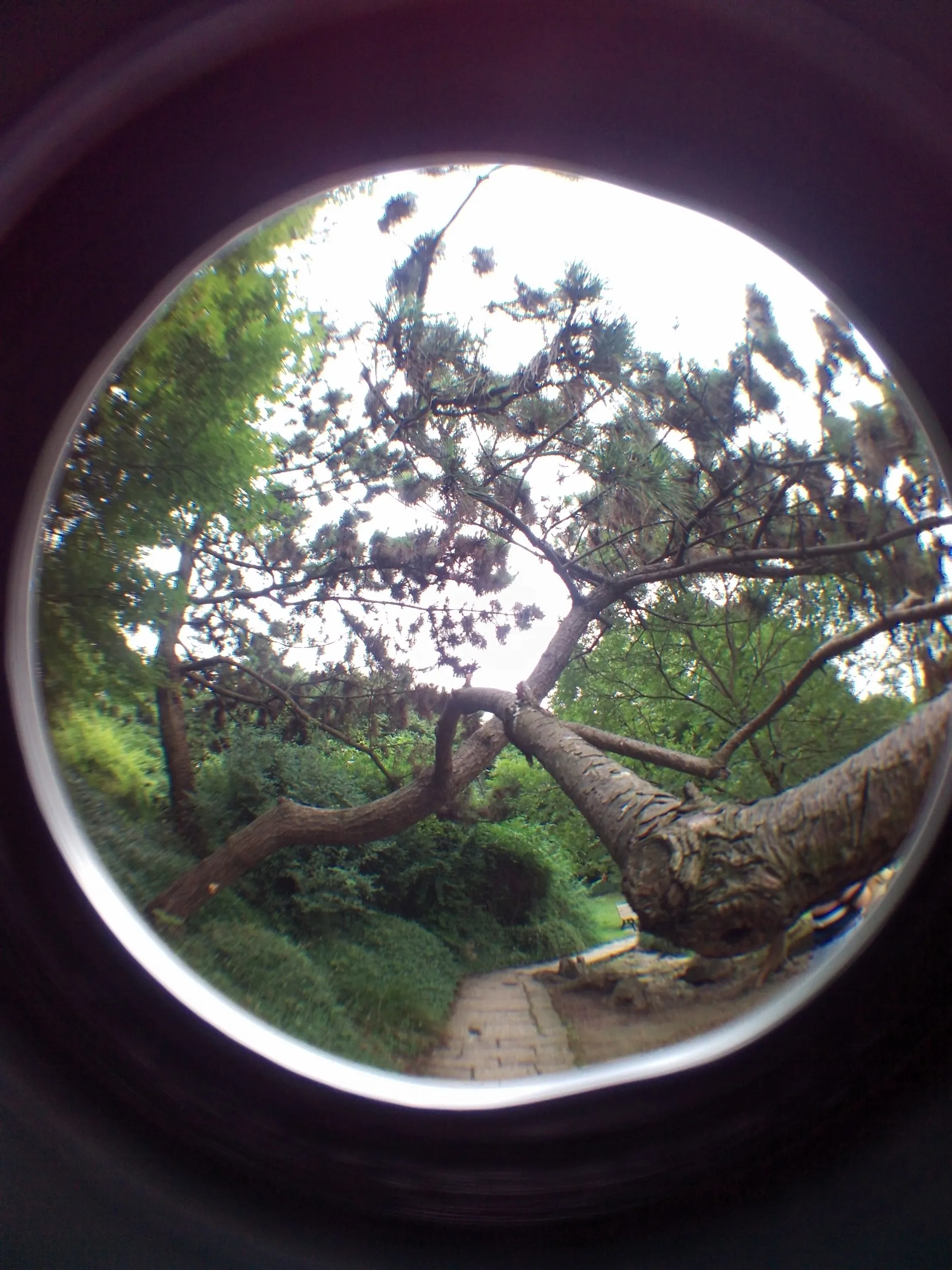 上海植物園観光