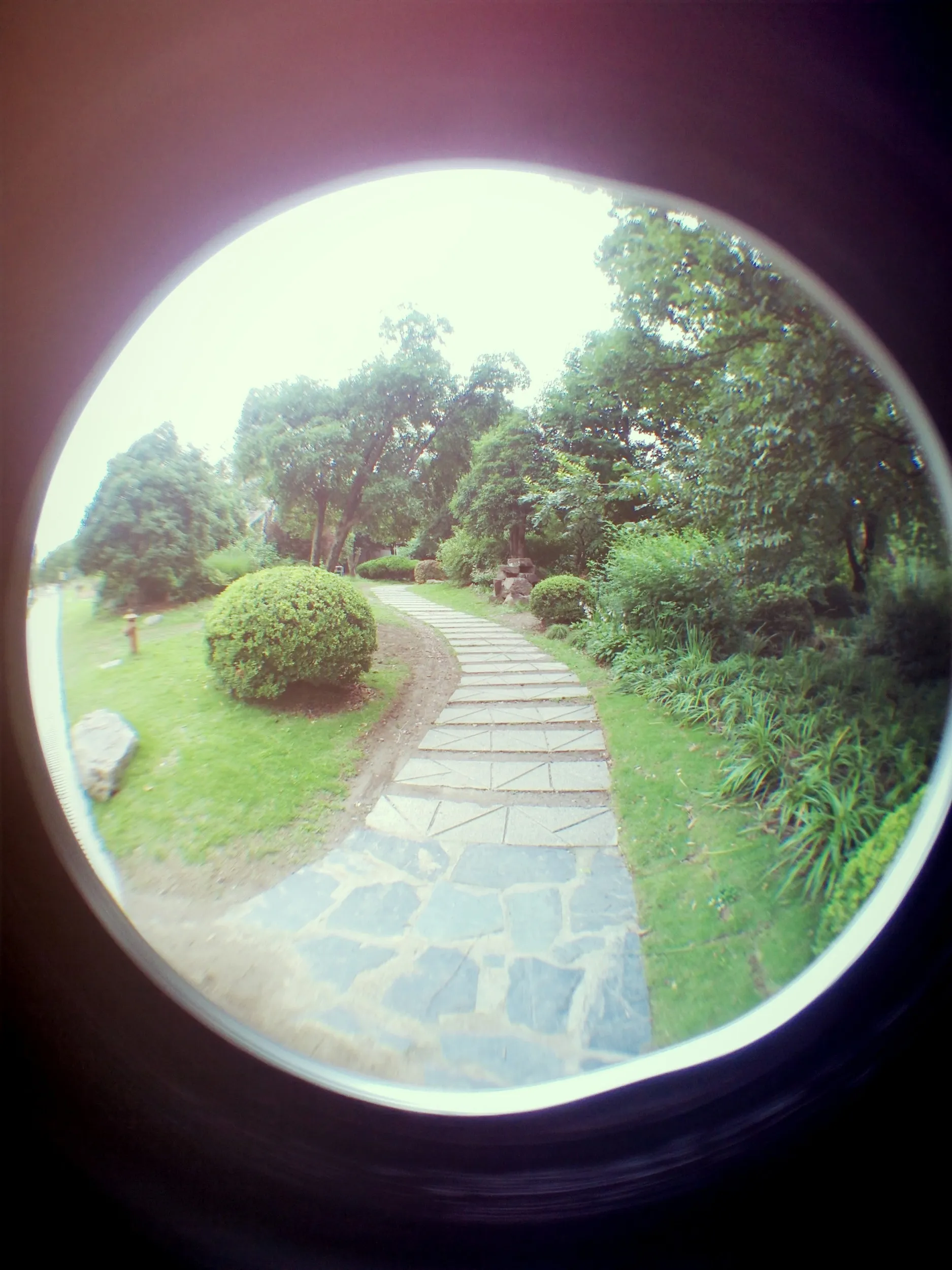 上海植物園観光