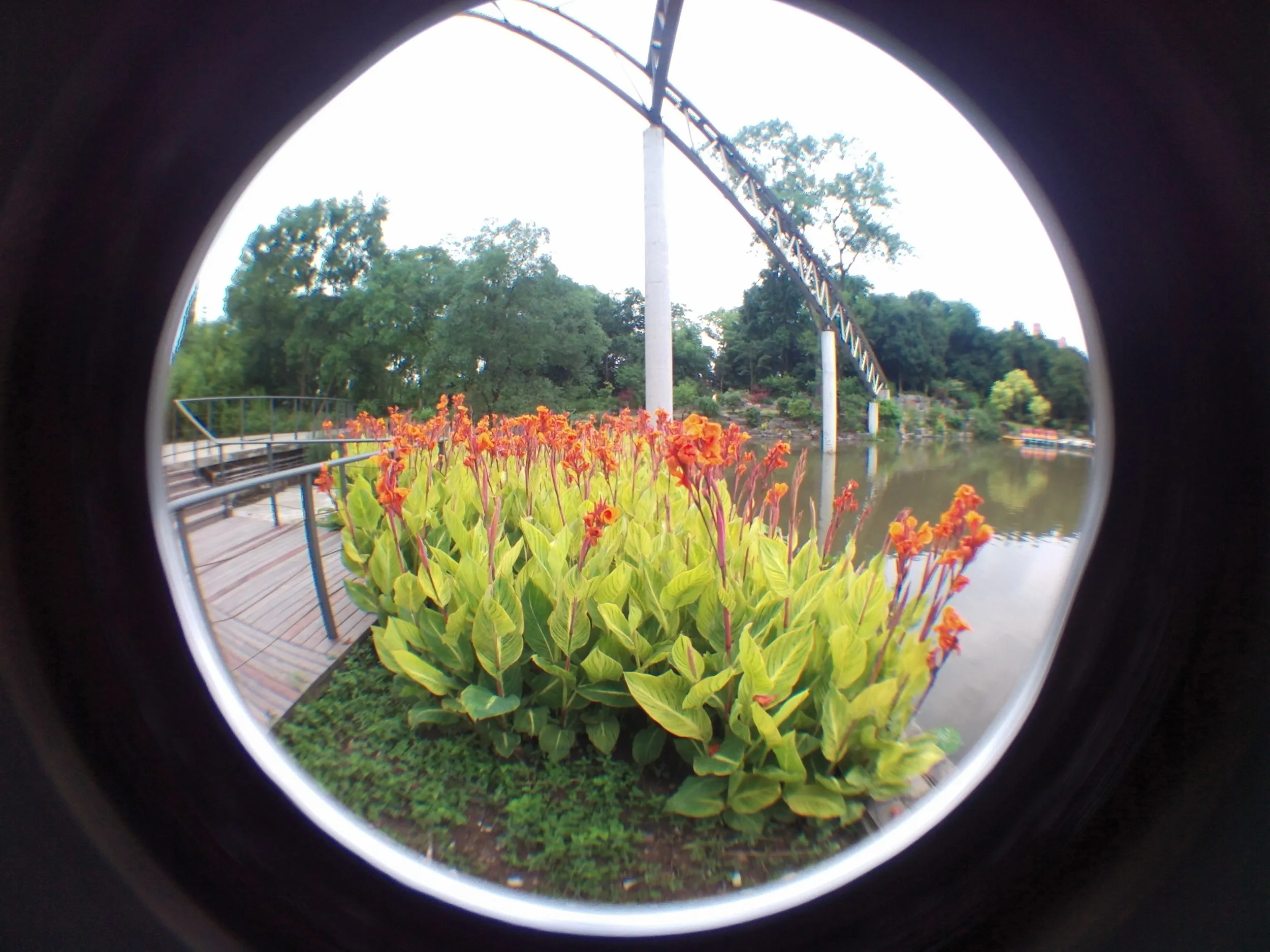上海植物園観光