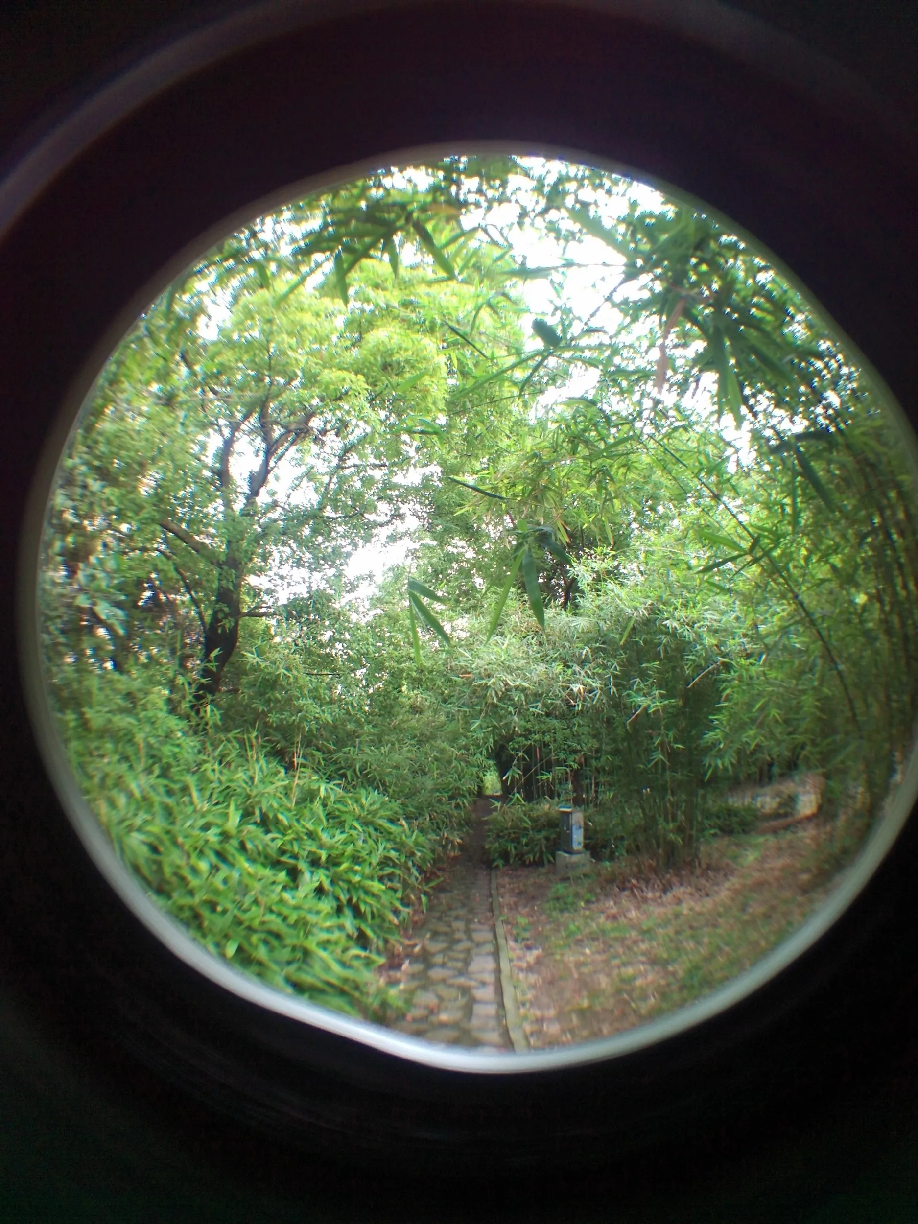上海植物園観光