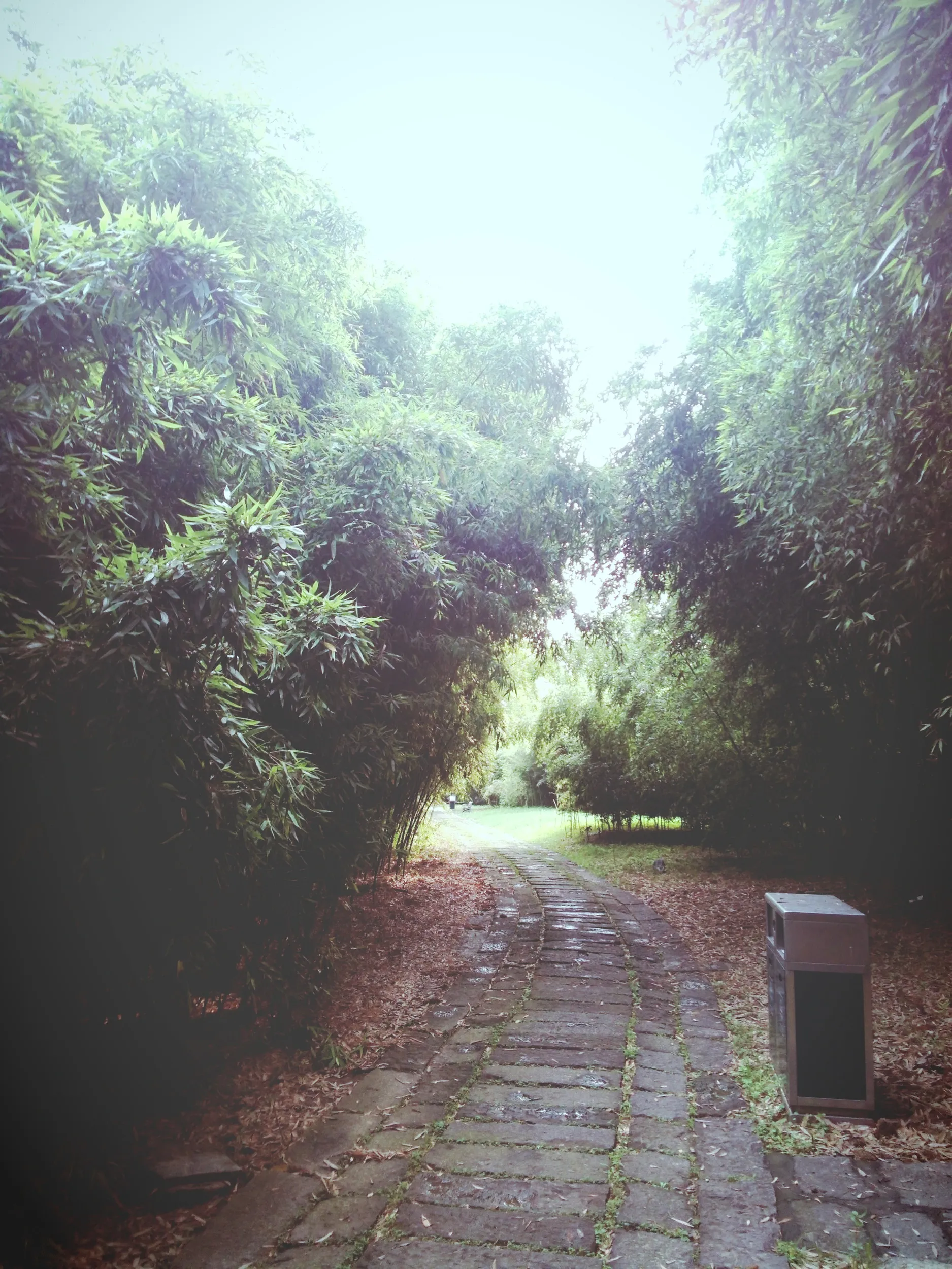 上海植物園観光