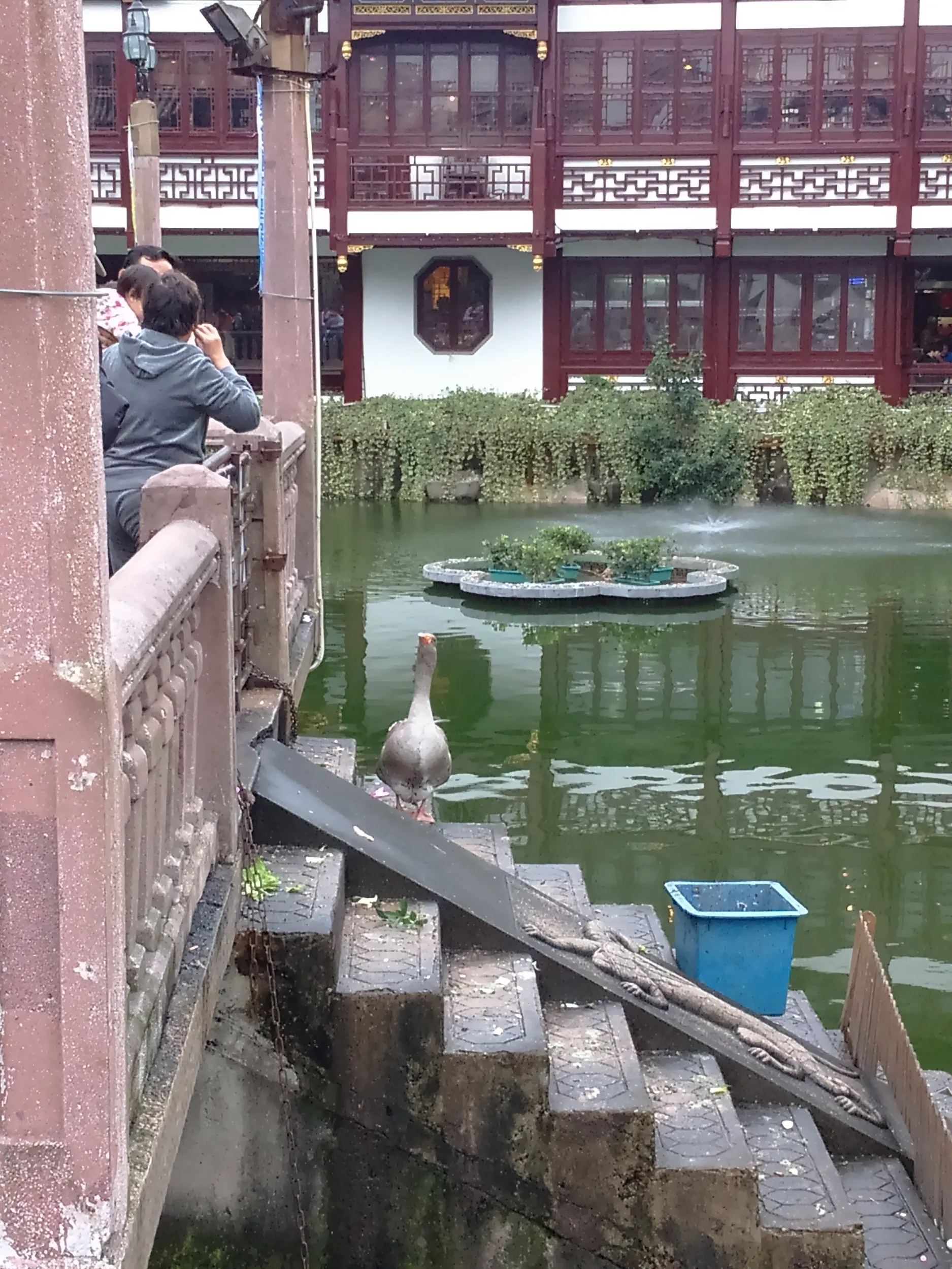 上海観光＠豫園周辺